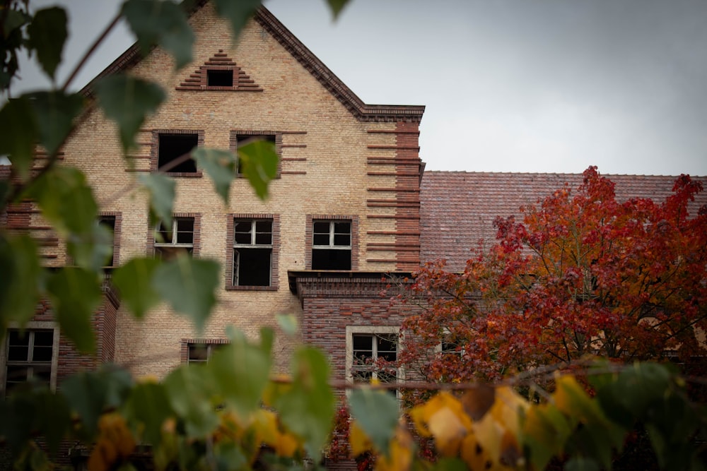 a building with a lot of windows and a tree in front of it