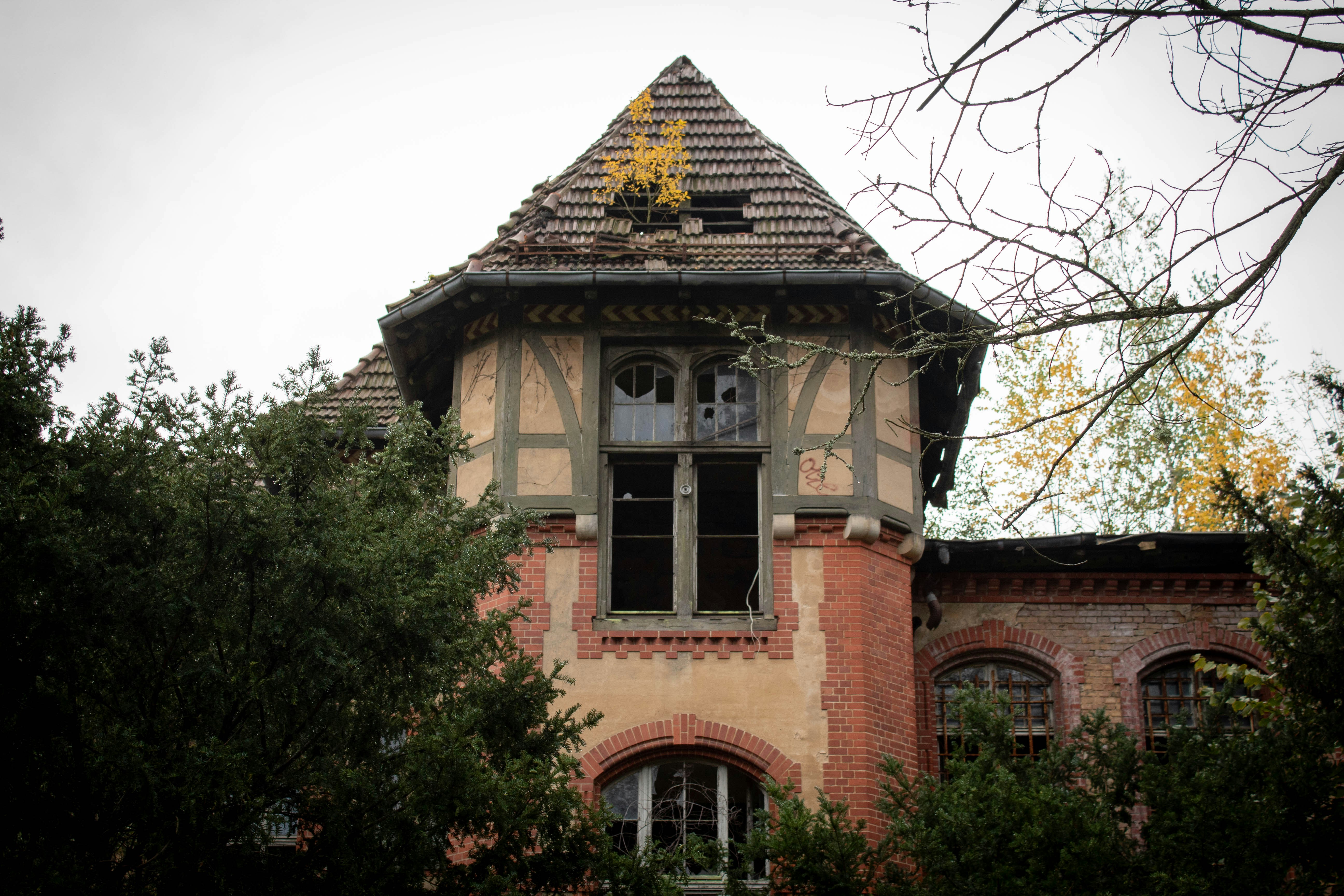 Photo by kristinapyrlik