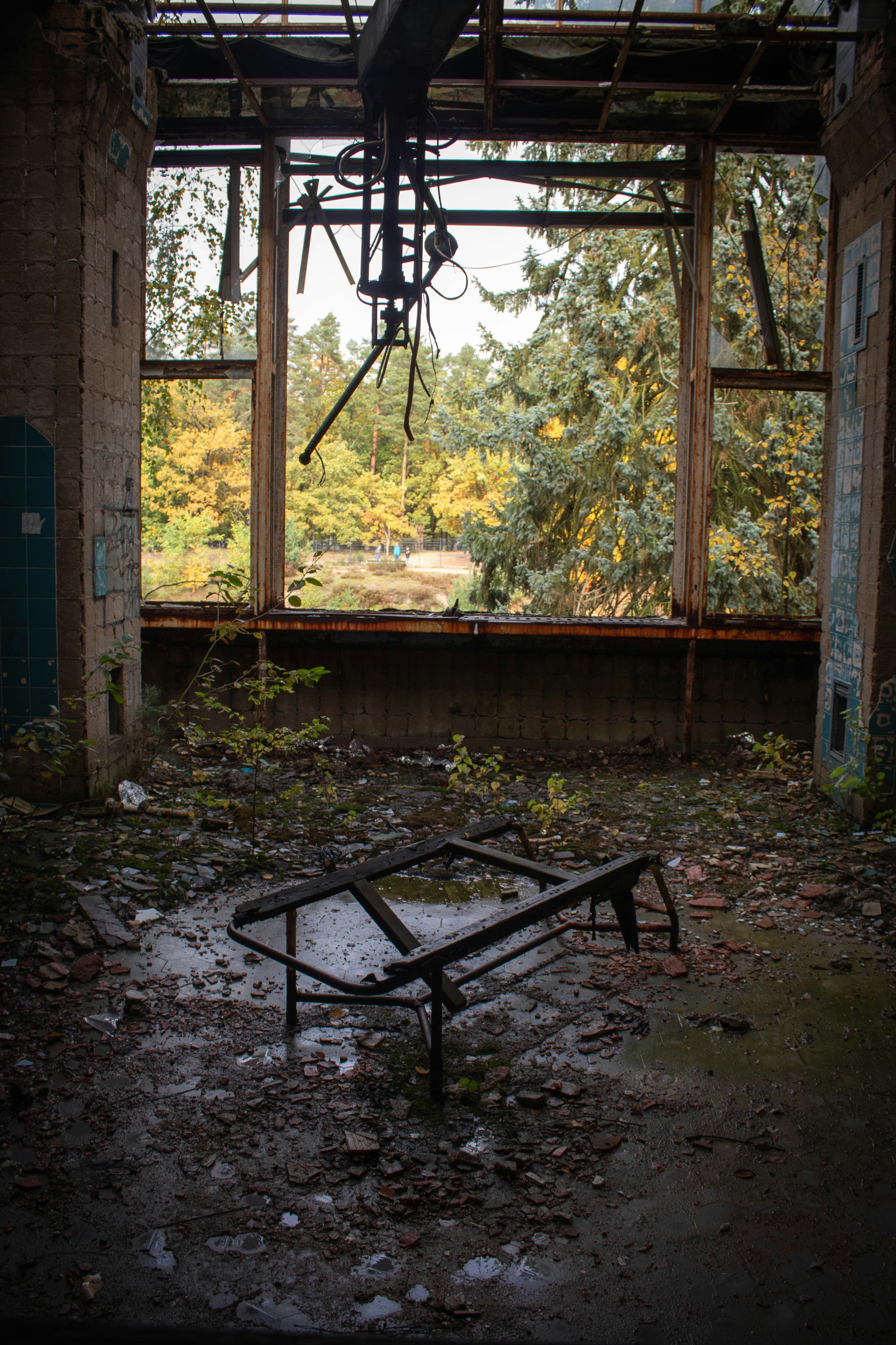 Photo by kristinapyrlik