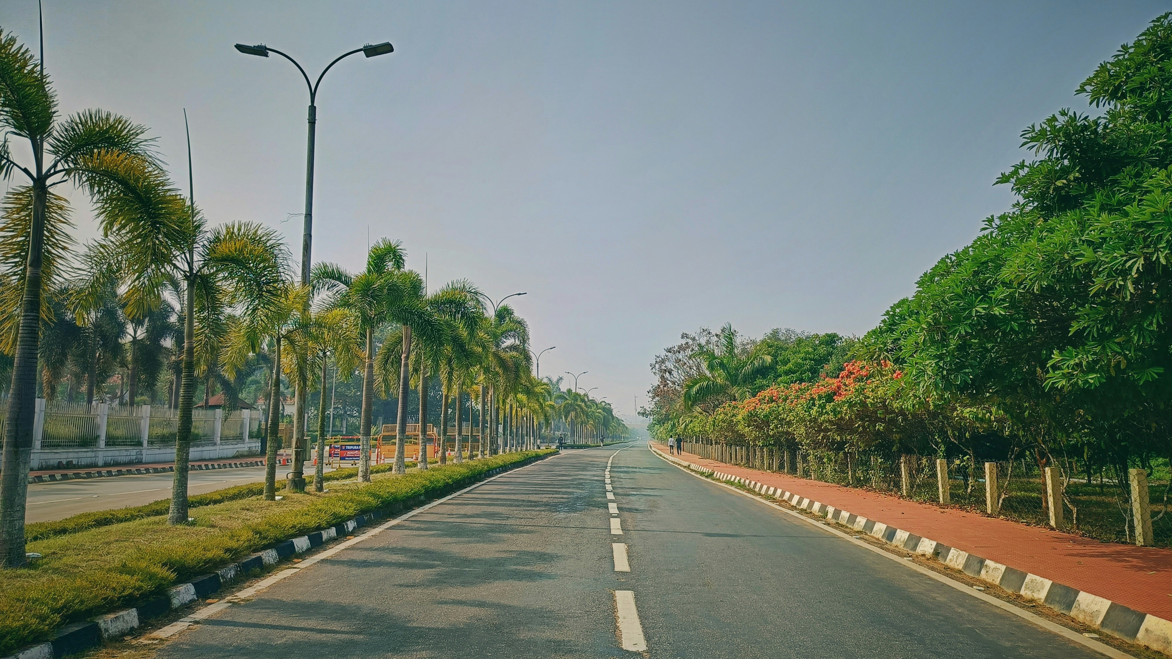 a street lined with palm trees next to a street light