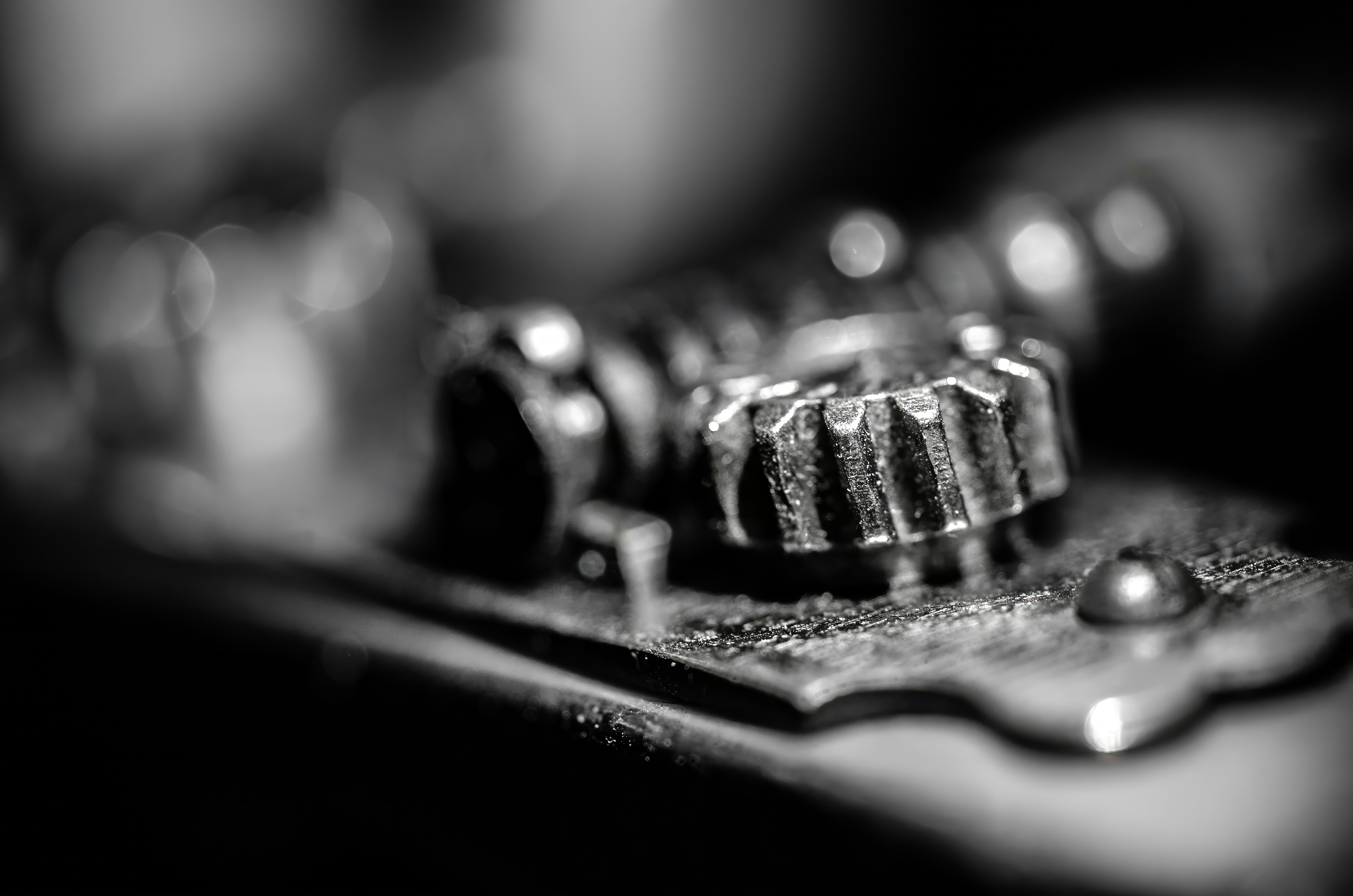 Photo by andrilliardbond