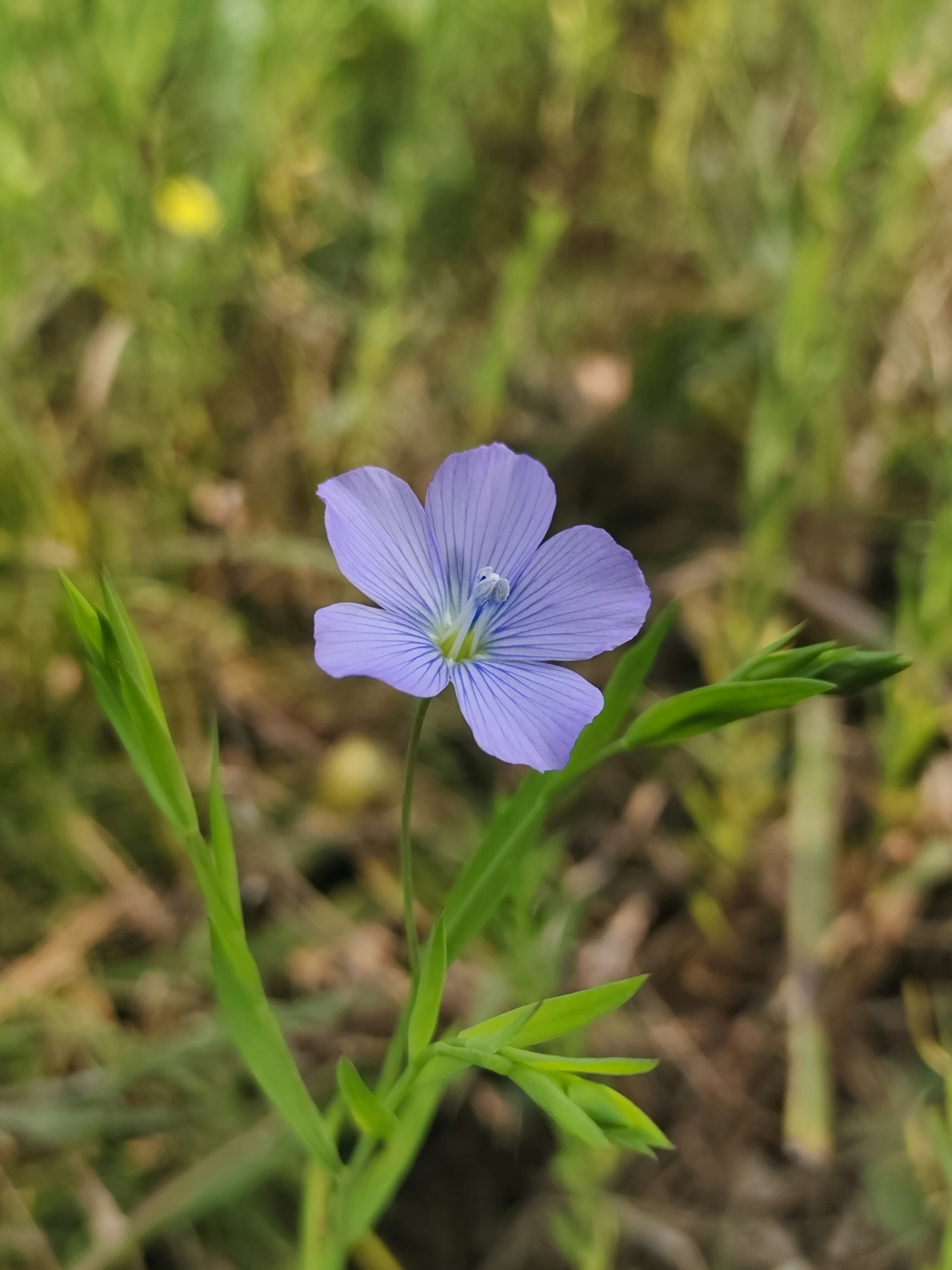 Photo by linkan_priya