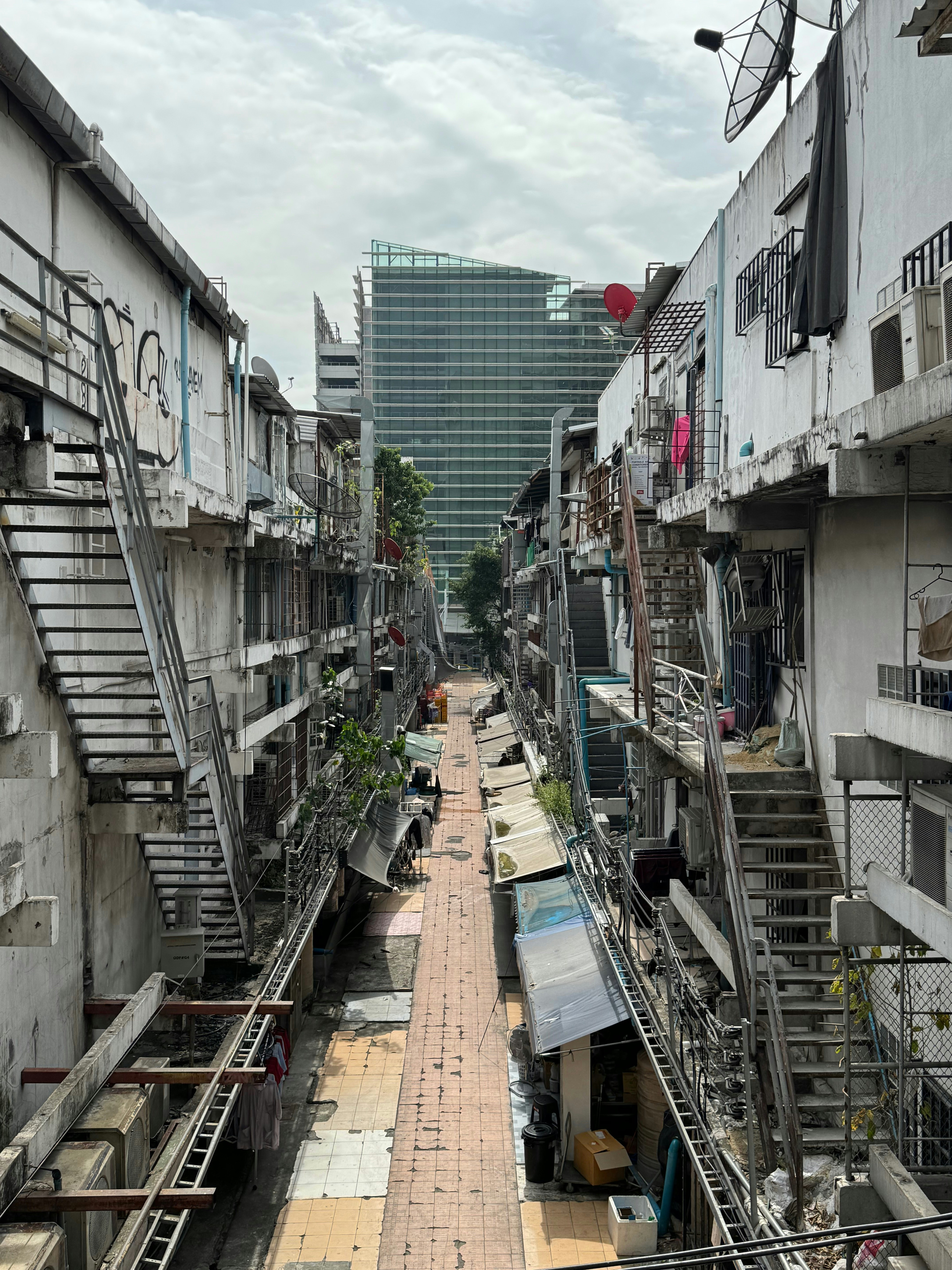 Photo by dharlequin