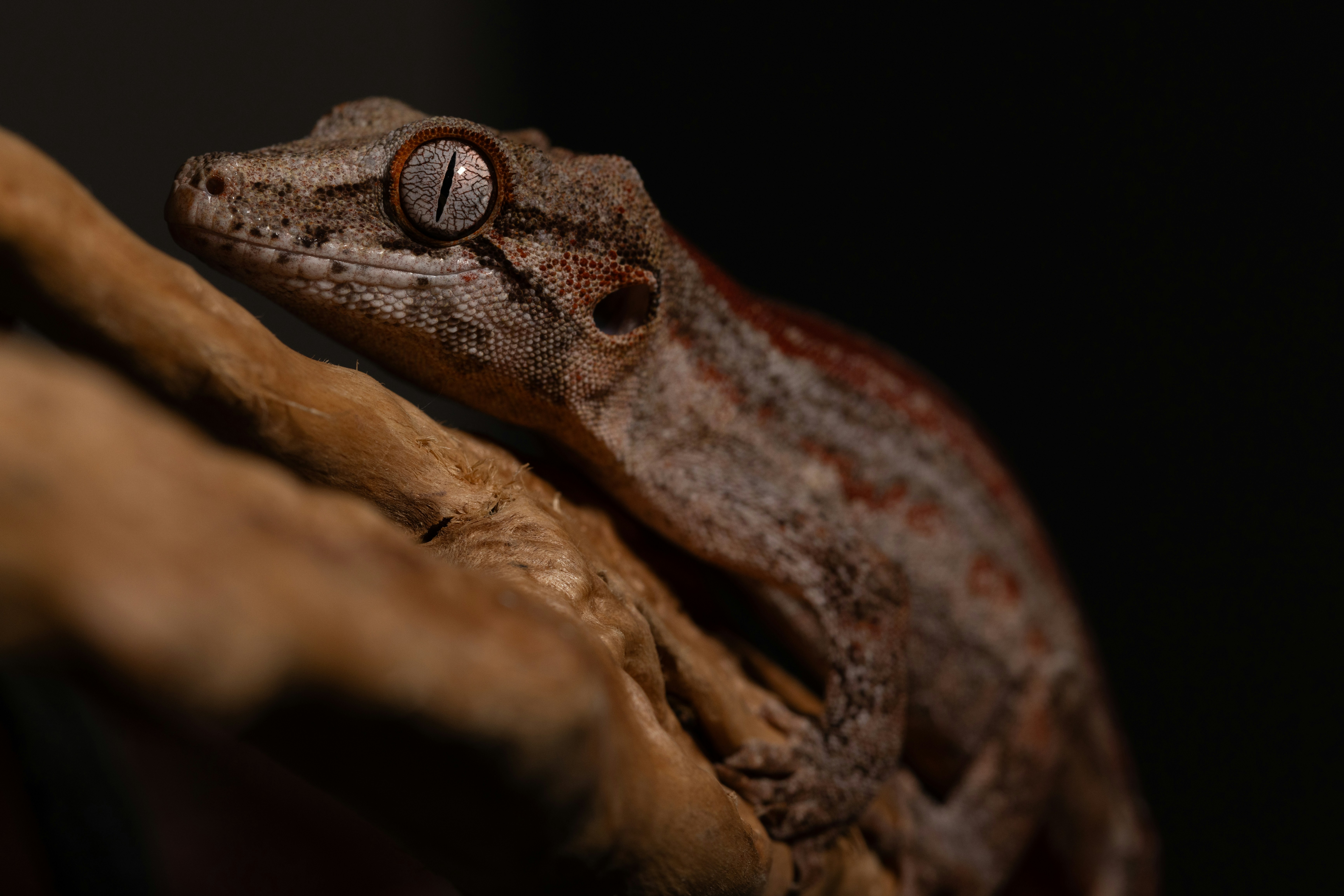 Photo by winefinderac