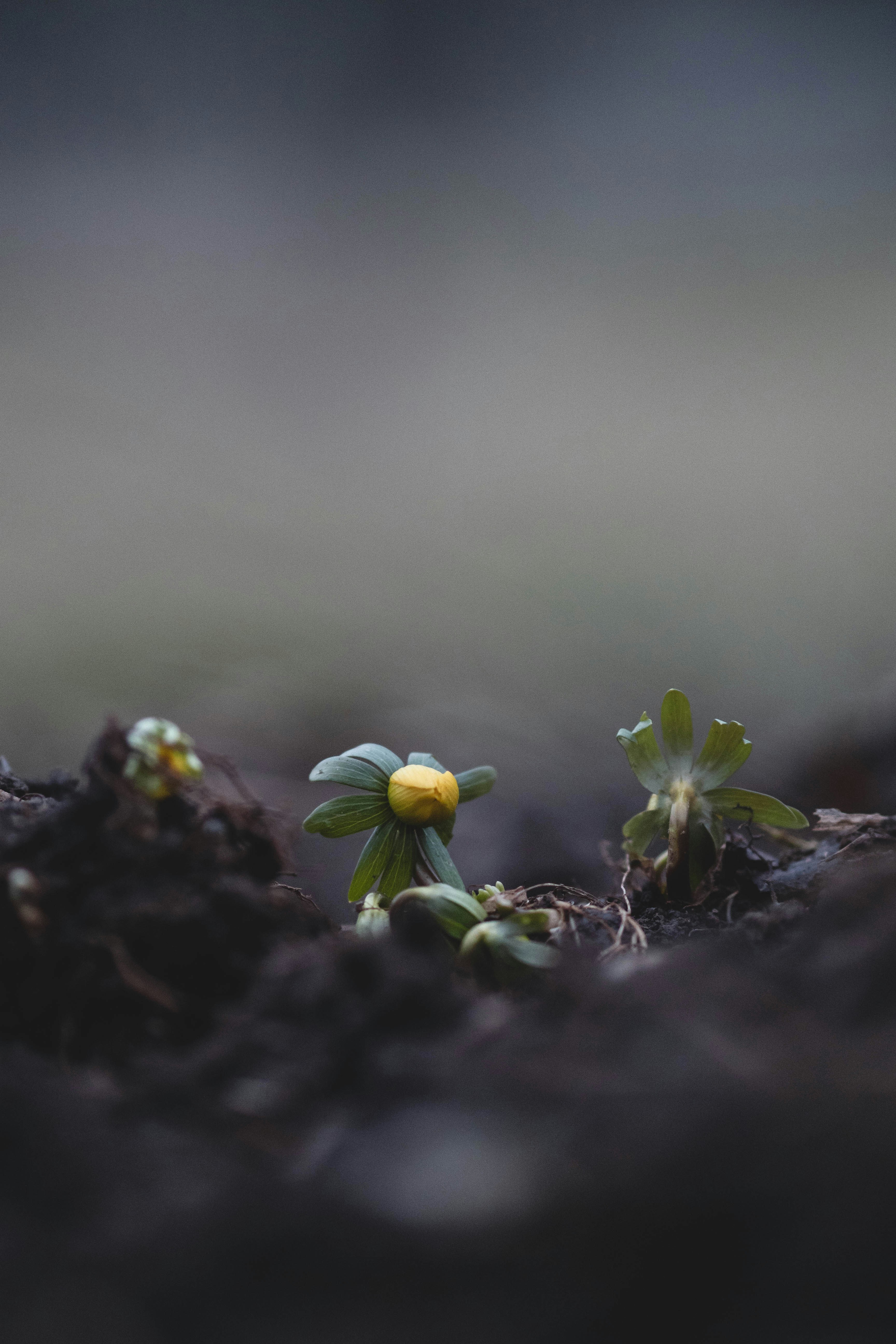 Photo by eileen_kummer