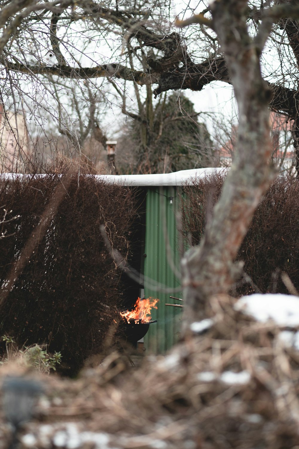 a fire burning in the middle of a yard