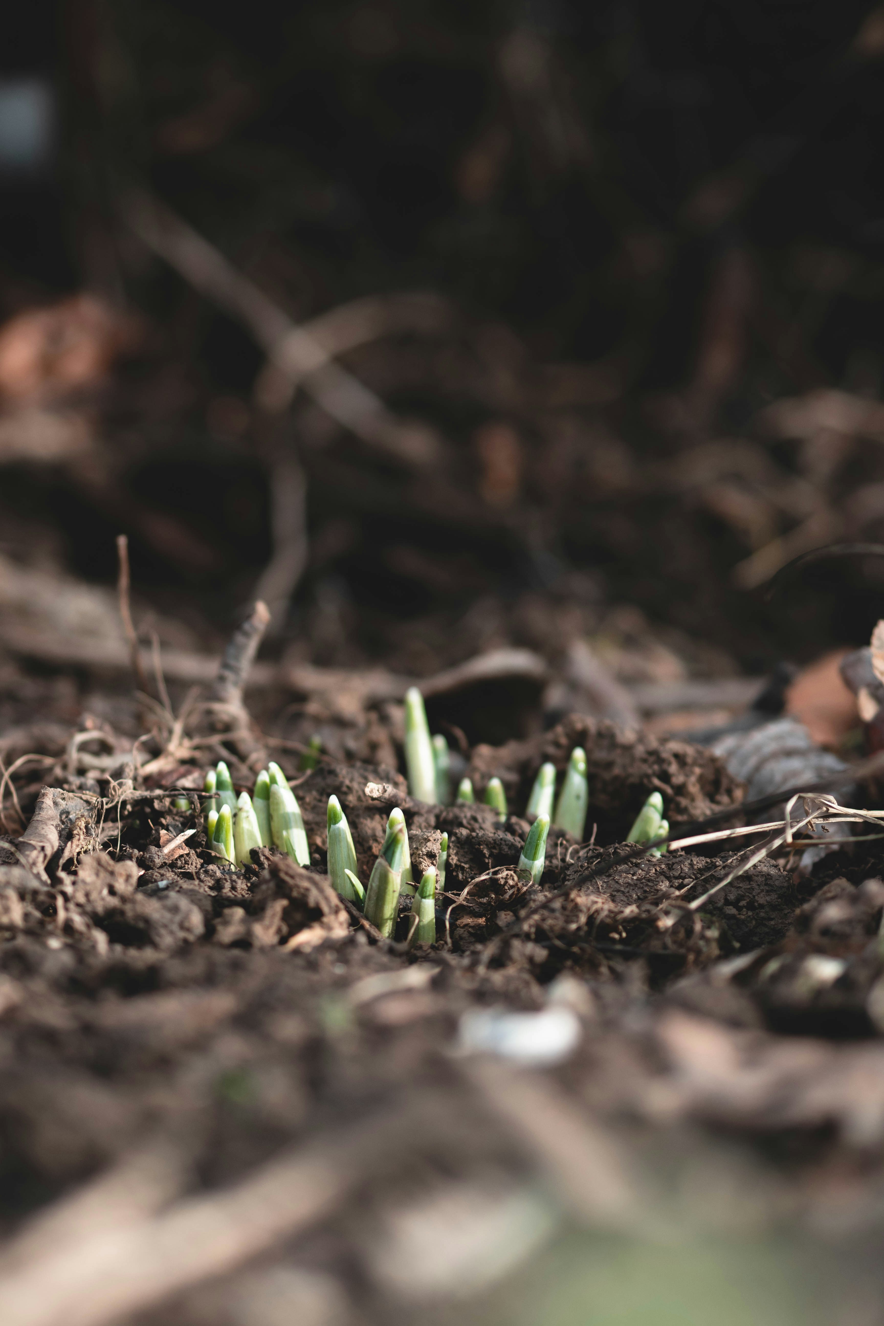 Photo by eileen_kummer