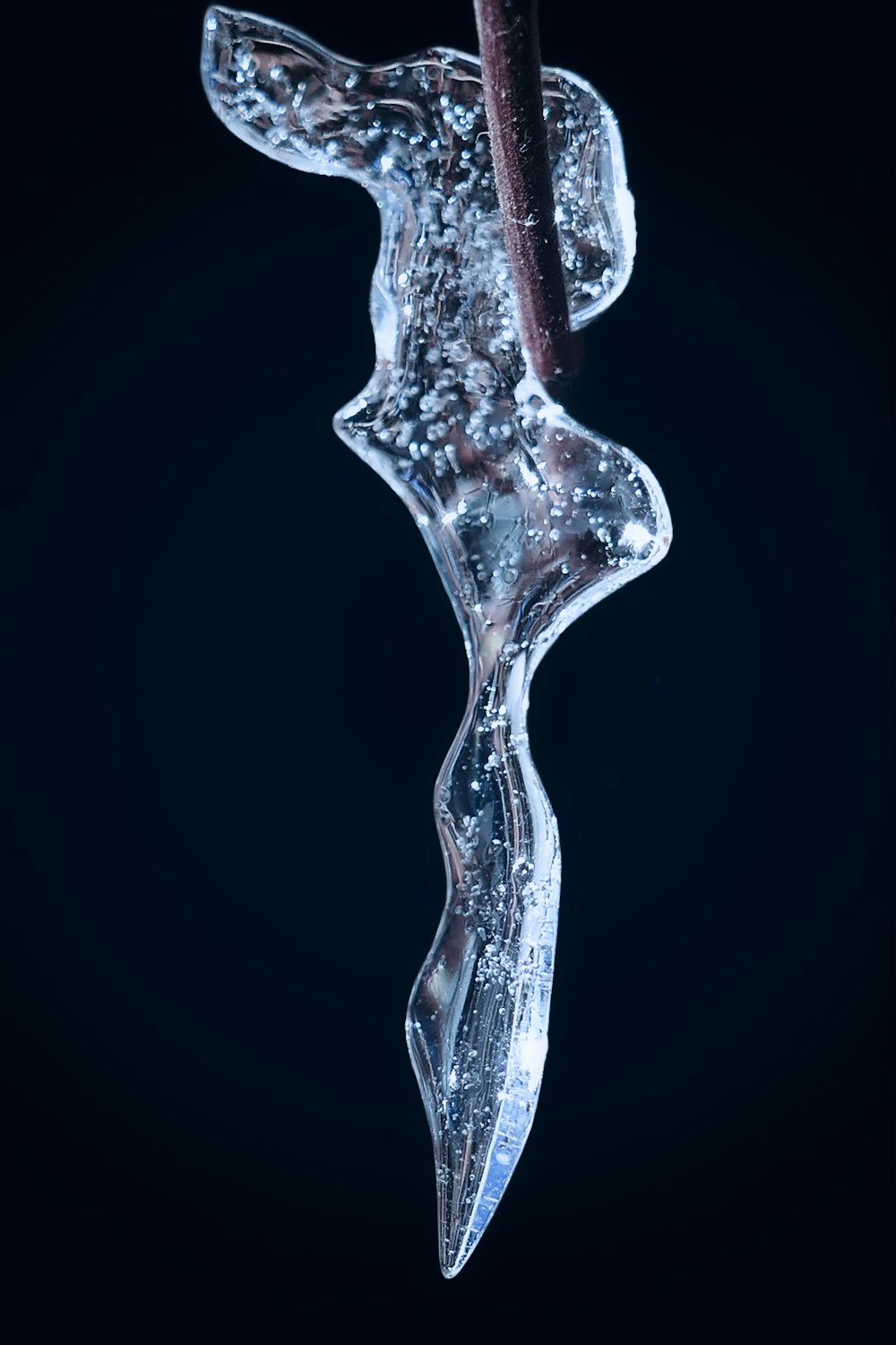 a piece of ice hanging from a branch