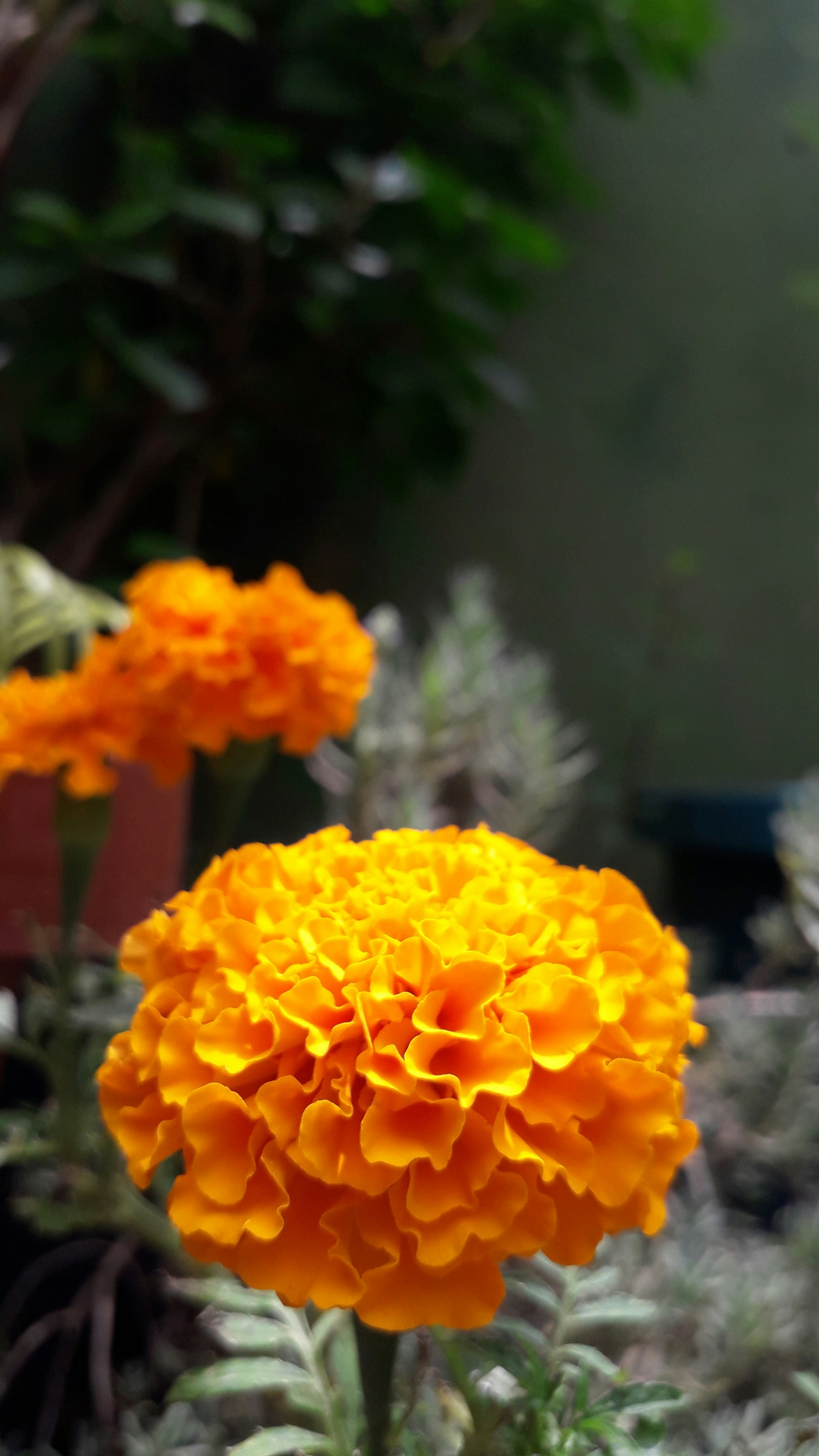 Photo by renatomunhozart