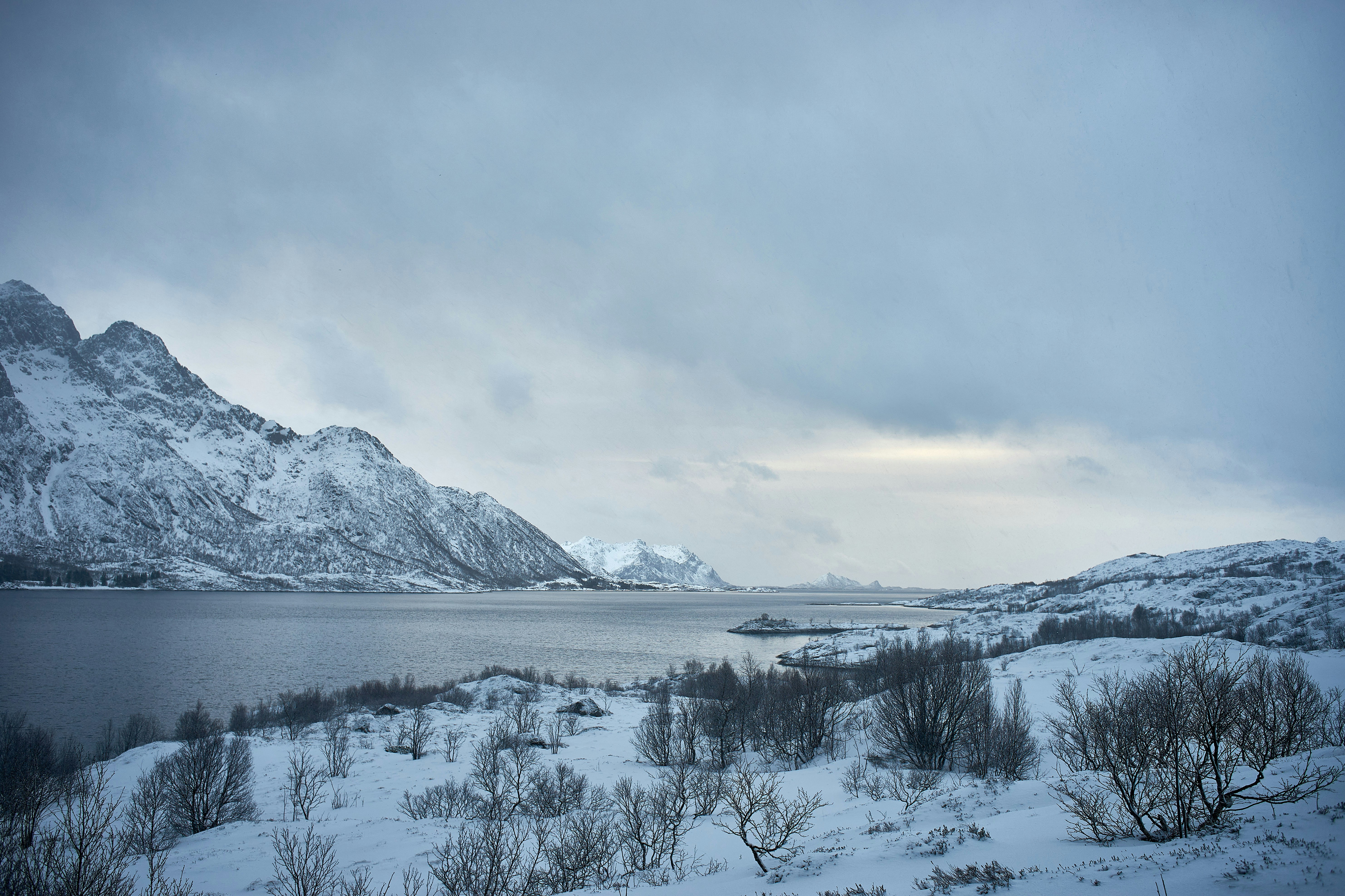 Photo by wolfgang_hasselmann