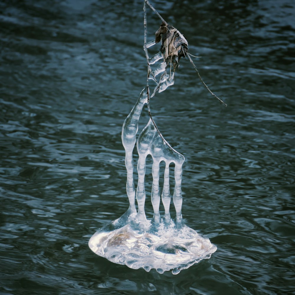 a piece of ice floating on top of a body of water