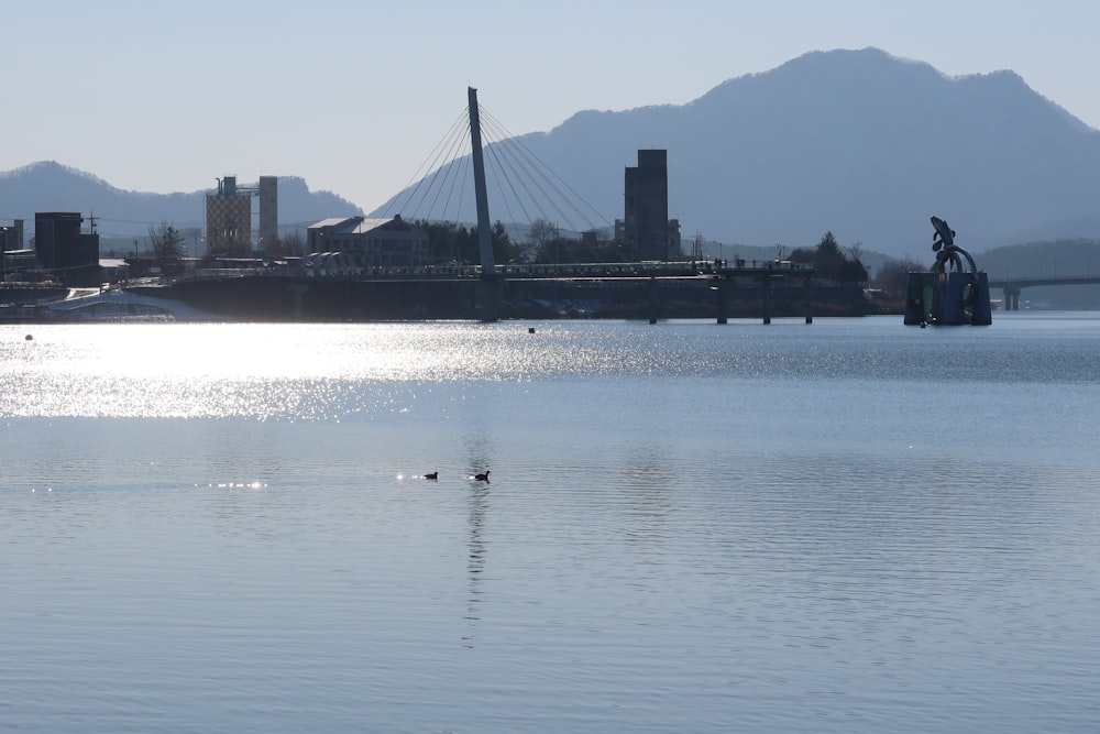 a large body of water with a bridge in the background