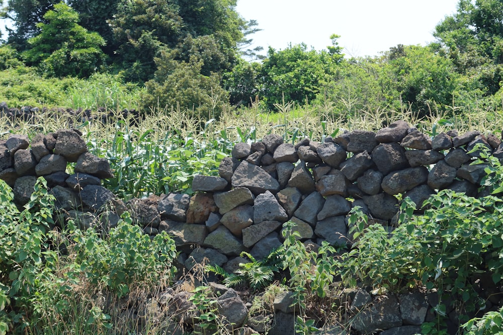a stone wall made of rocks in a field