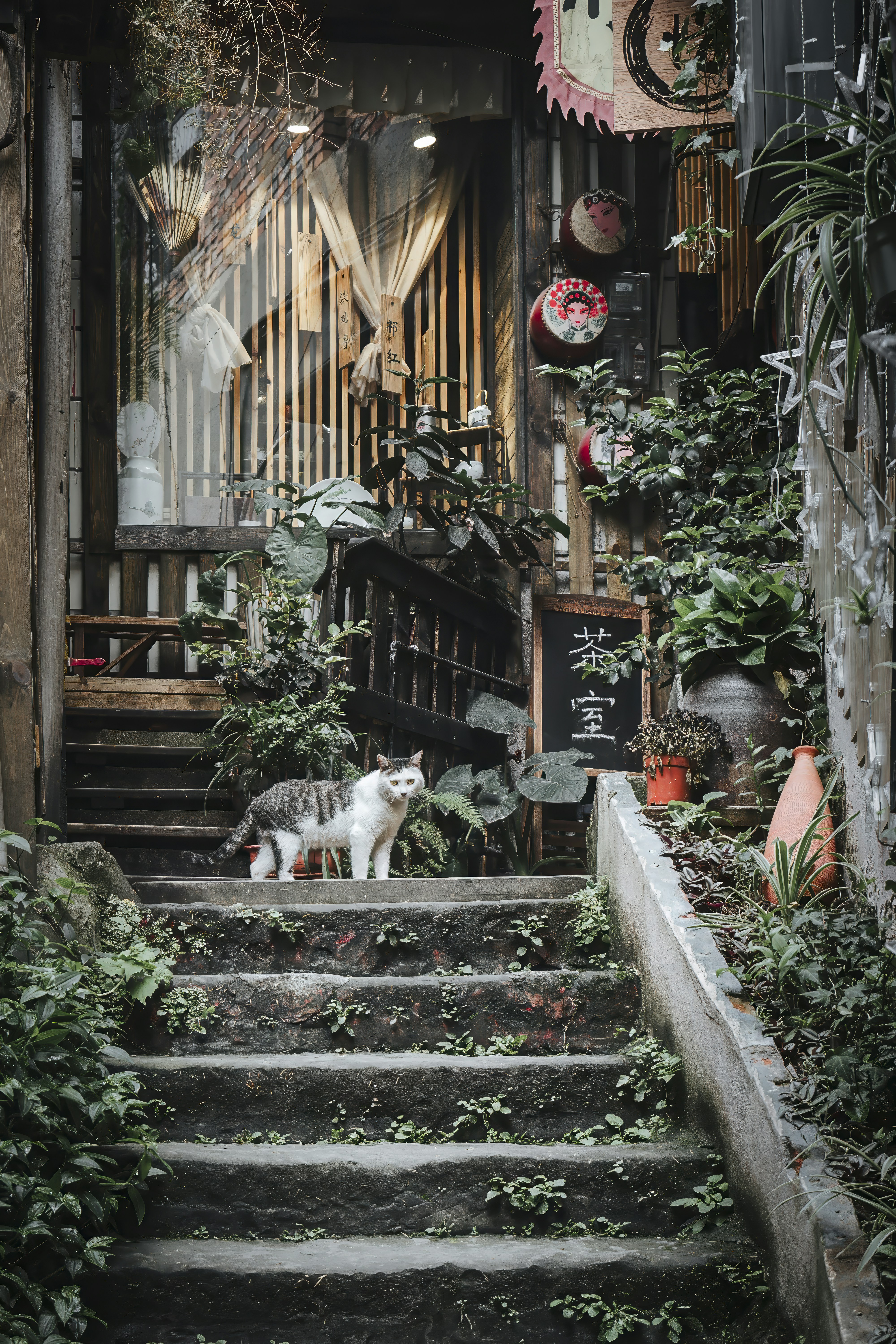 a cat is standing on a set of stairs