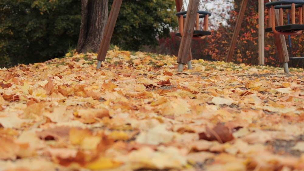 a pile of leaves sitting next to a park bench