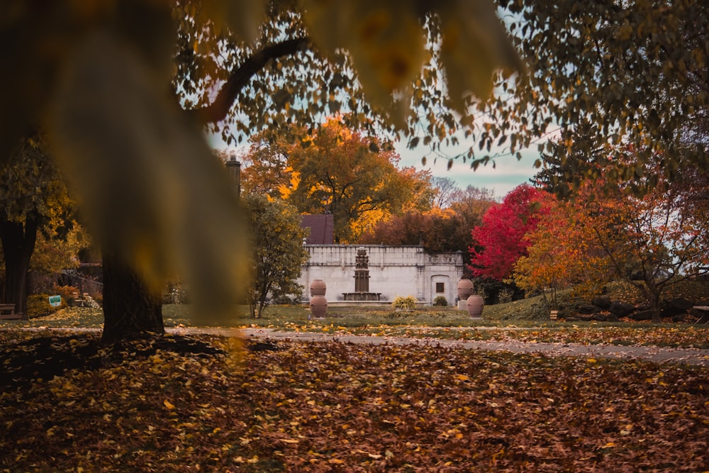 a white house surrounded by trees and leaves