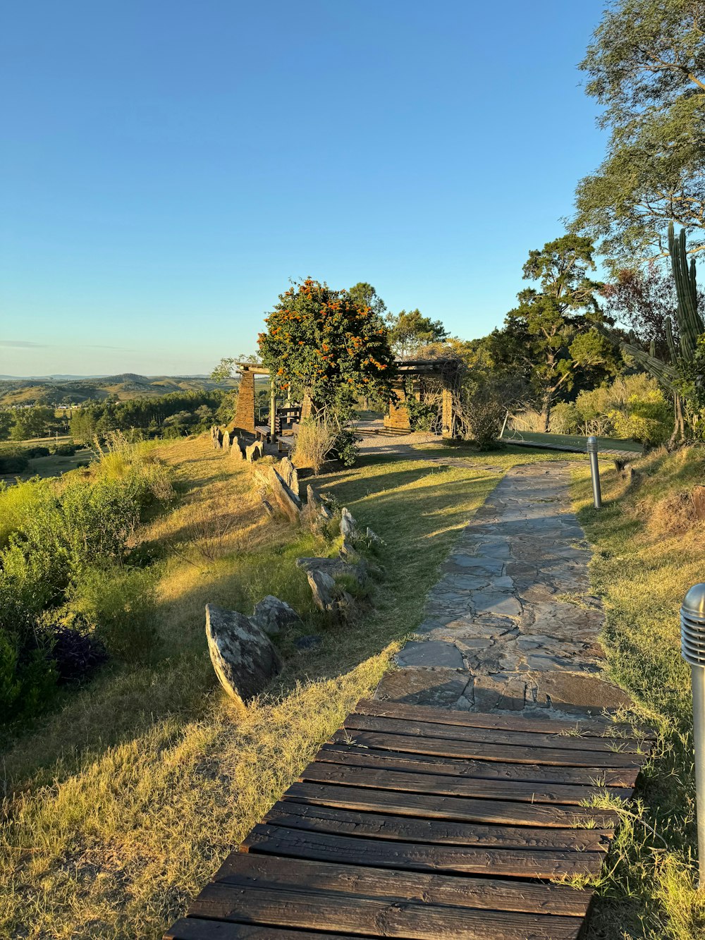 a wooden walkway in a grassy area with trees