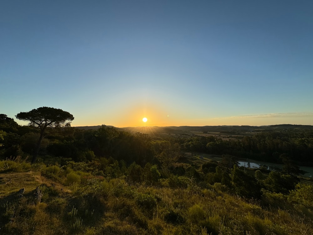 the sun is setting over a grassy field