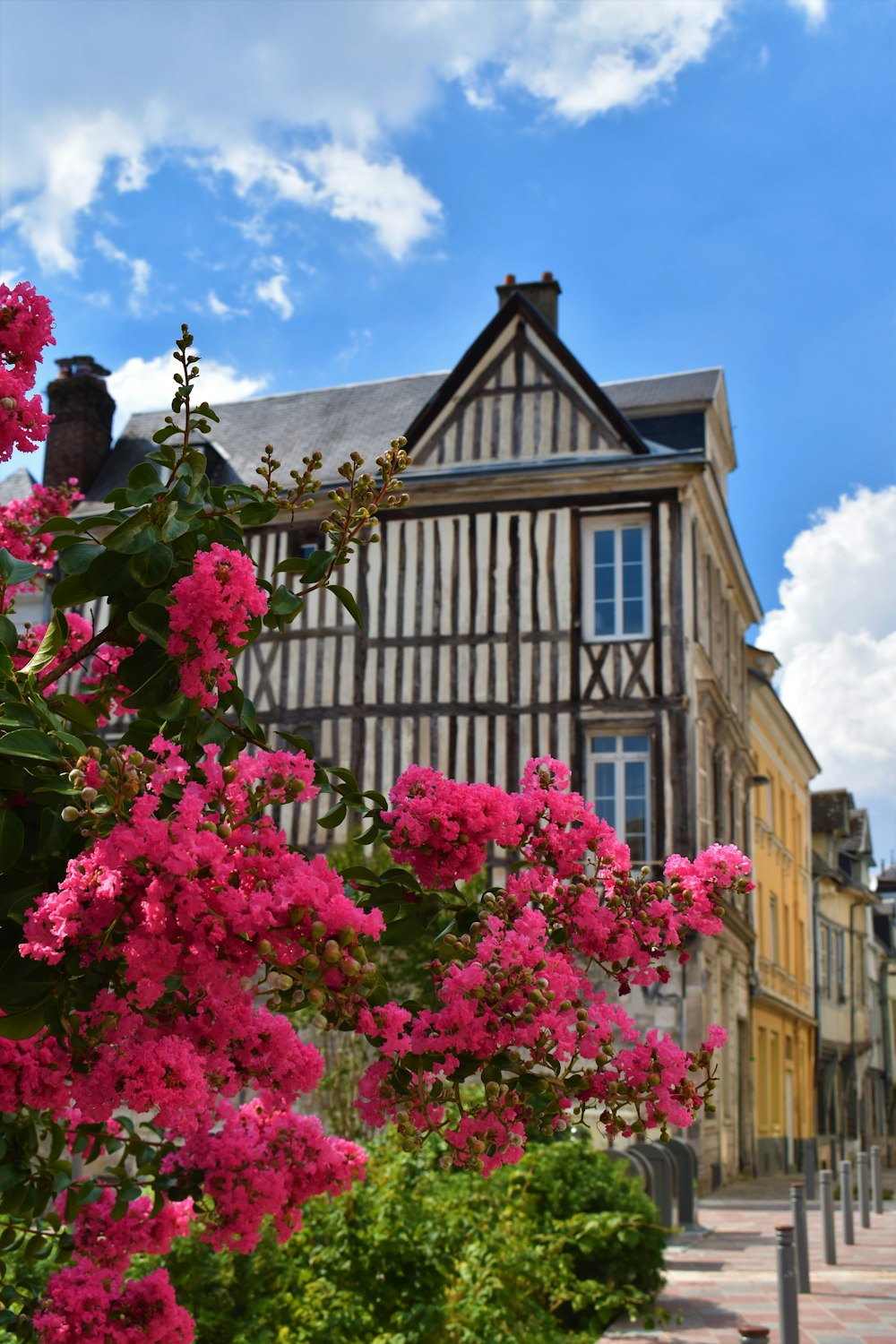 a building with pink flowers in front of it