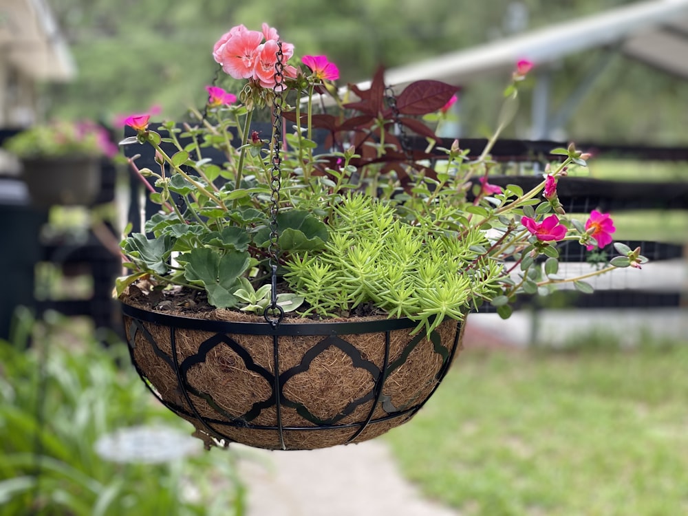 a hanging planter filled with pink flowers and greenery