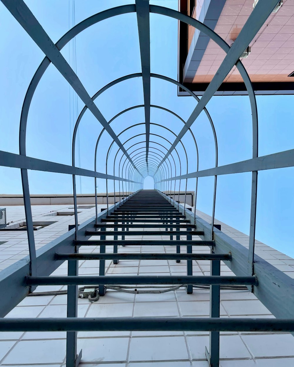 a view of a walkway through a glass tunnel