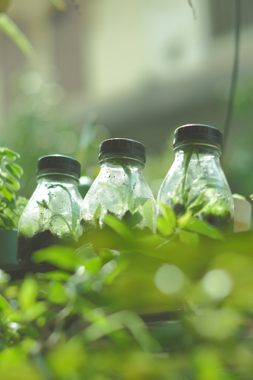 three bottles of water sitting on top of a table