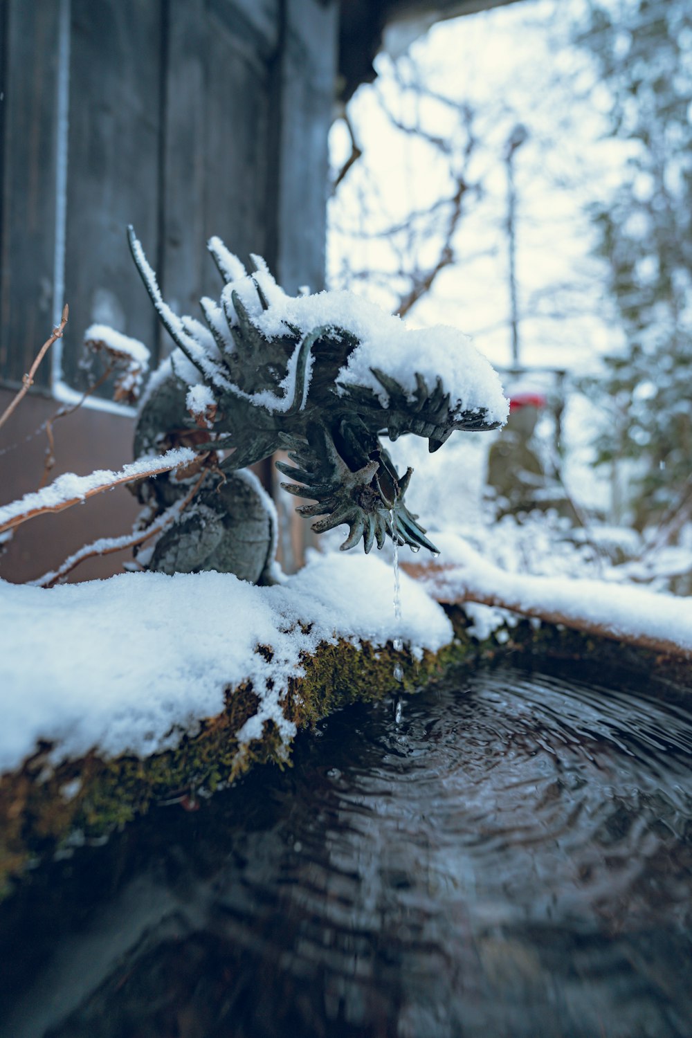 a bird is perched on a branch in the snow