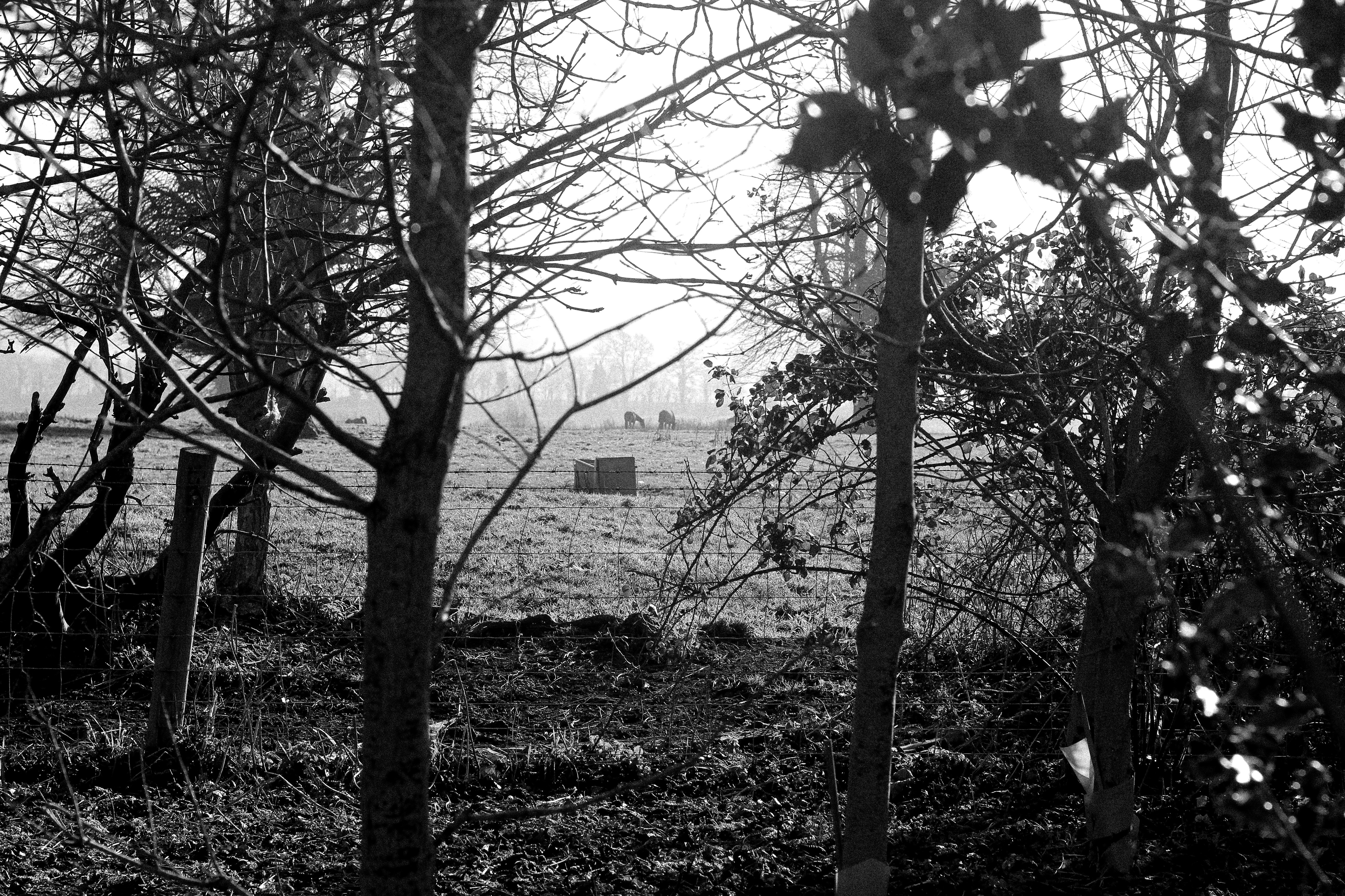 Photo by capitalhaych