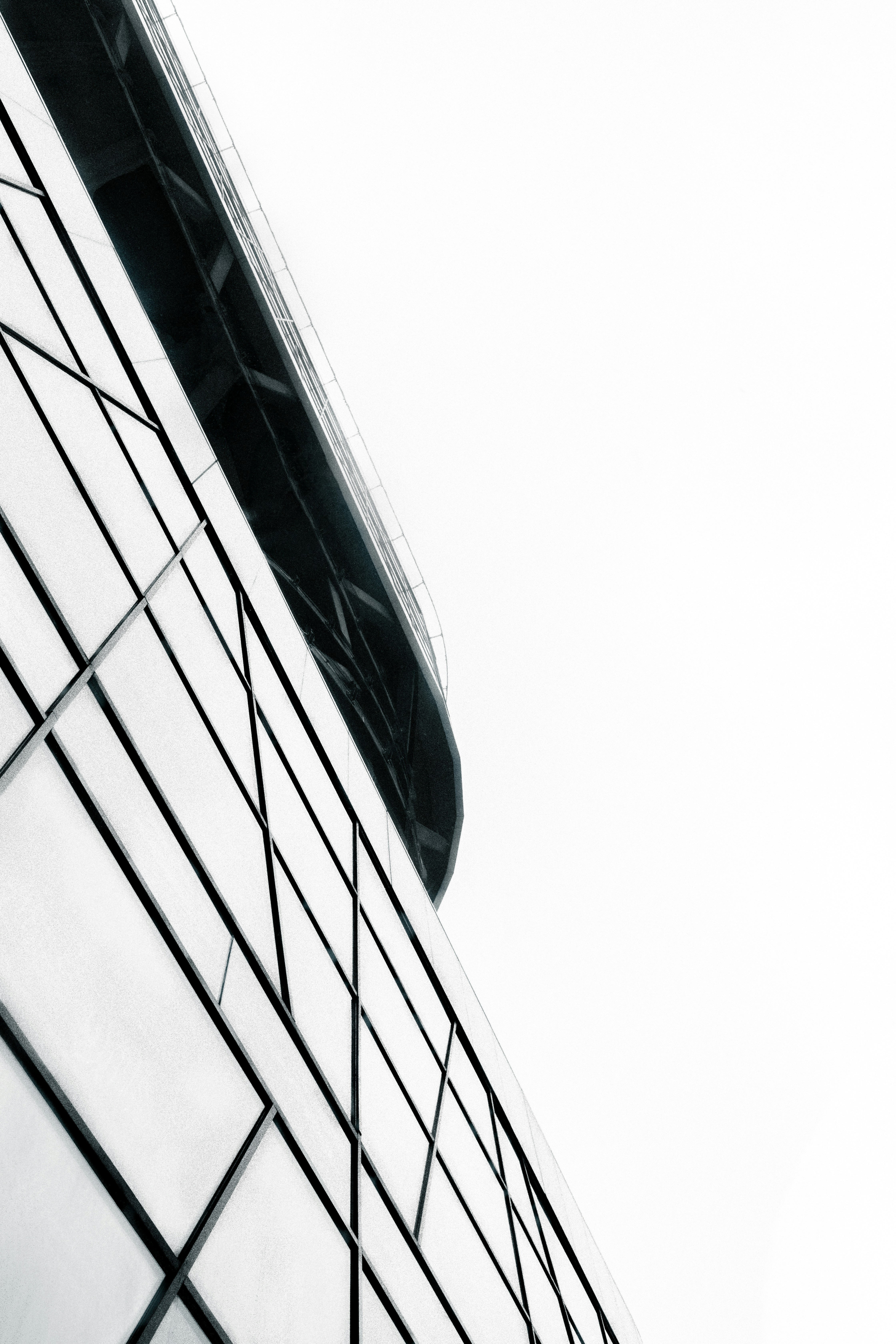 Photo by behy_studio