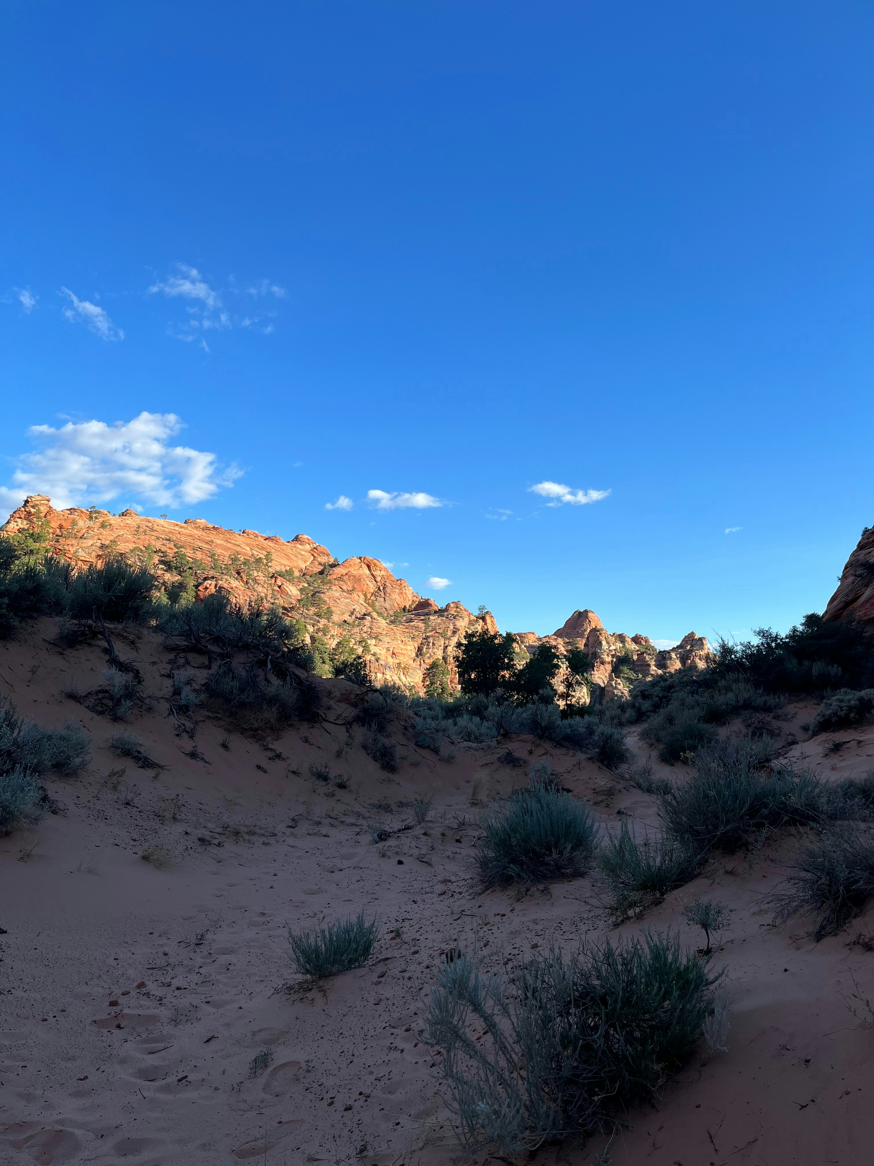 Photo by amberwineland