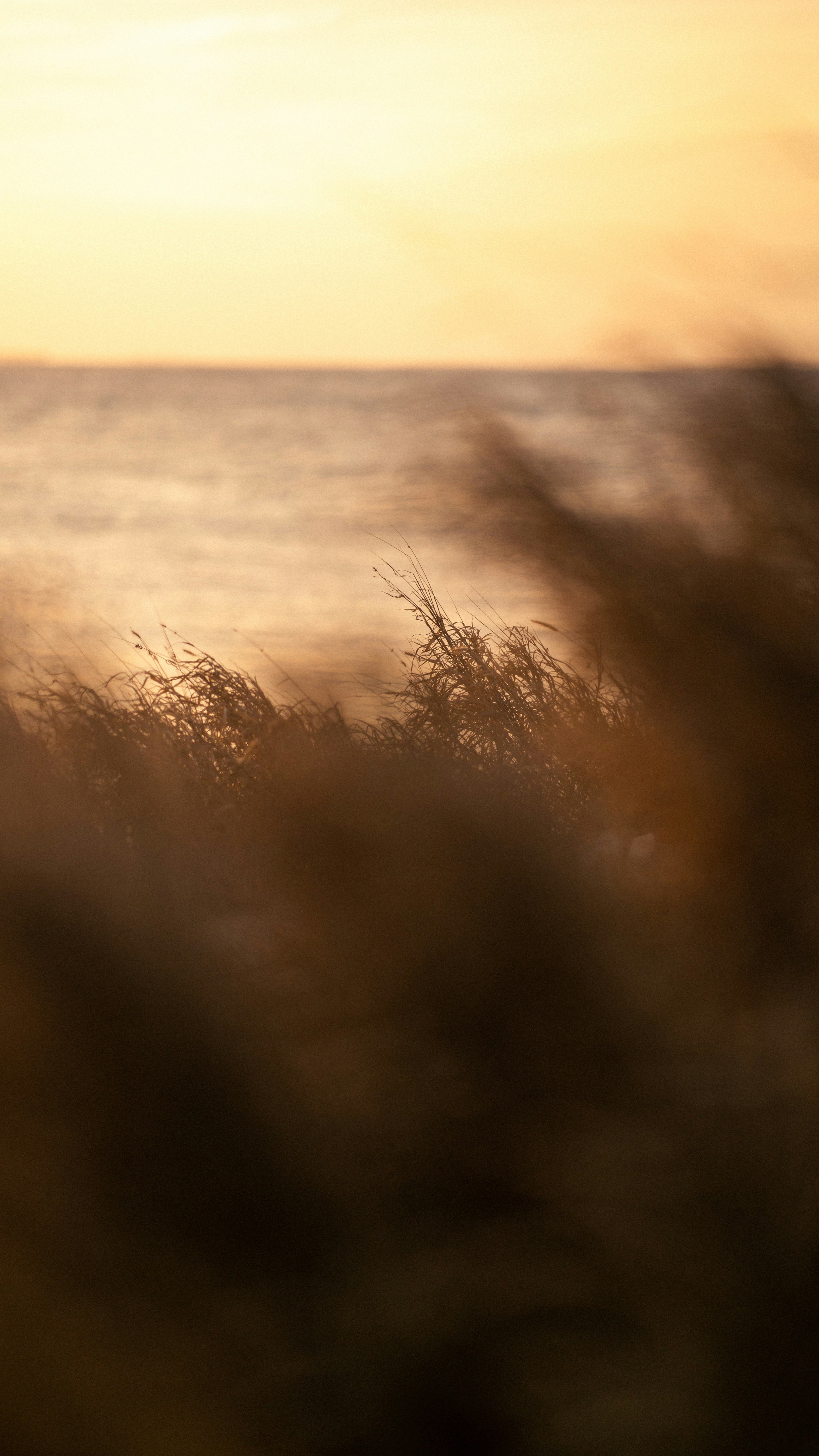 Photo by ajlunaguerra