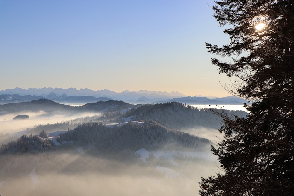 Blick auf eine nebelverhangene Bergkette