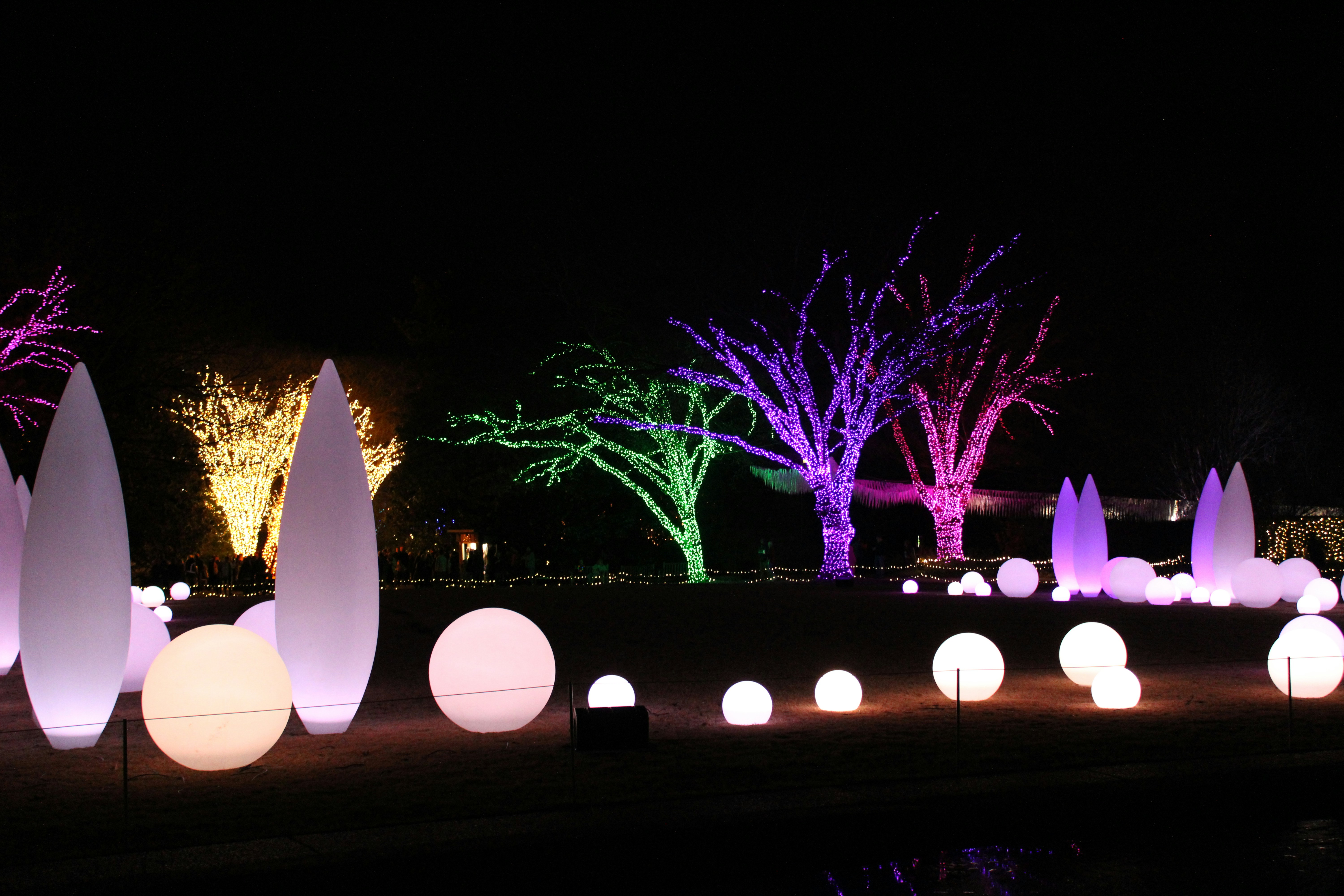 a bunch of lights that are in the dark