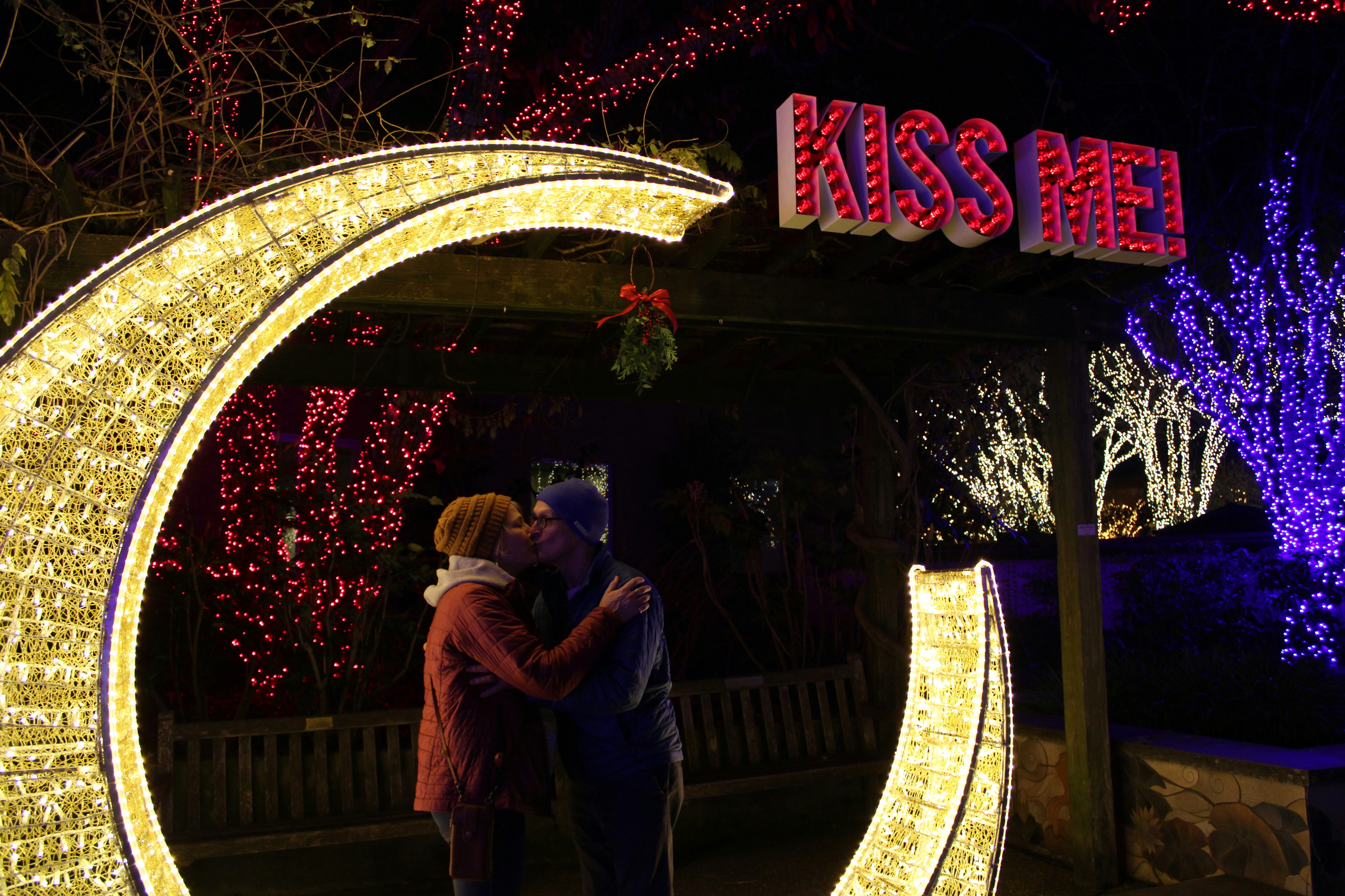 Who Played Abbey in Christmas Wishes & Mistletoe Kisses? Revealed