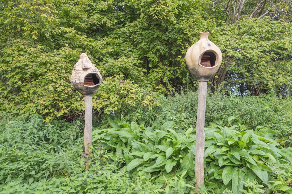 a couple of bird houses sitting in the middle of a forest