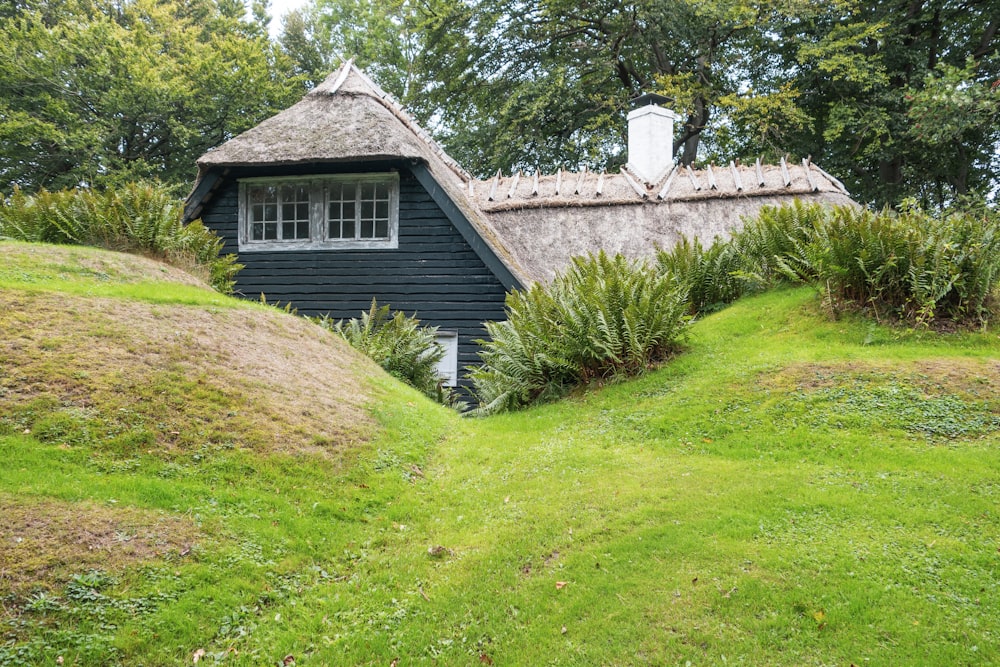 a small black house with a thatched roof