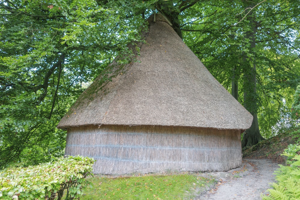 a thatched hut in the middle of a forest