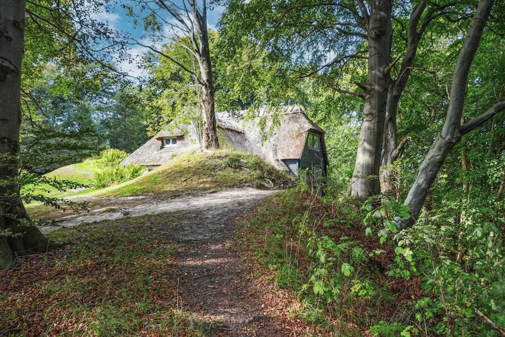 a small house in the middle of a forest