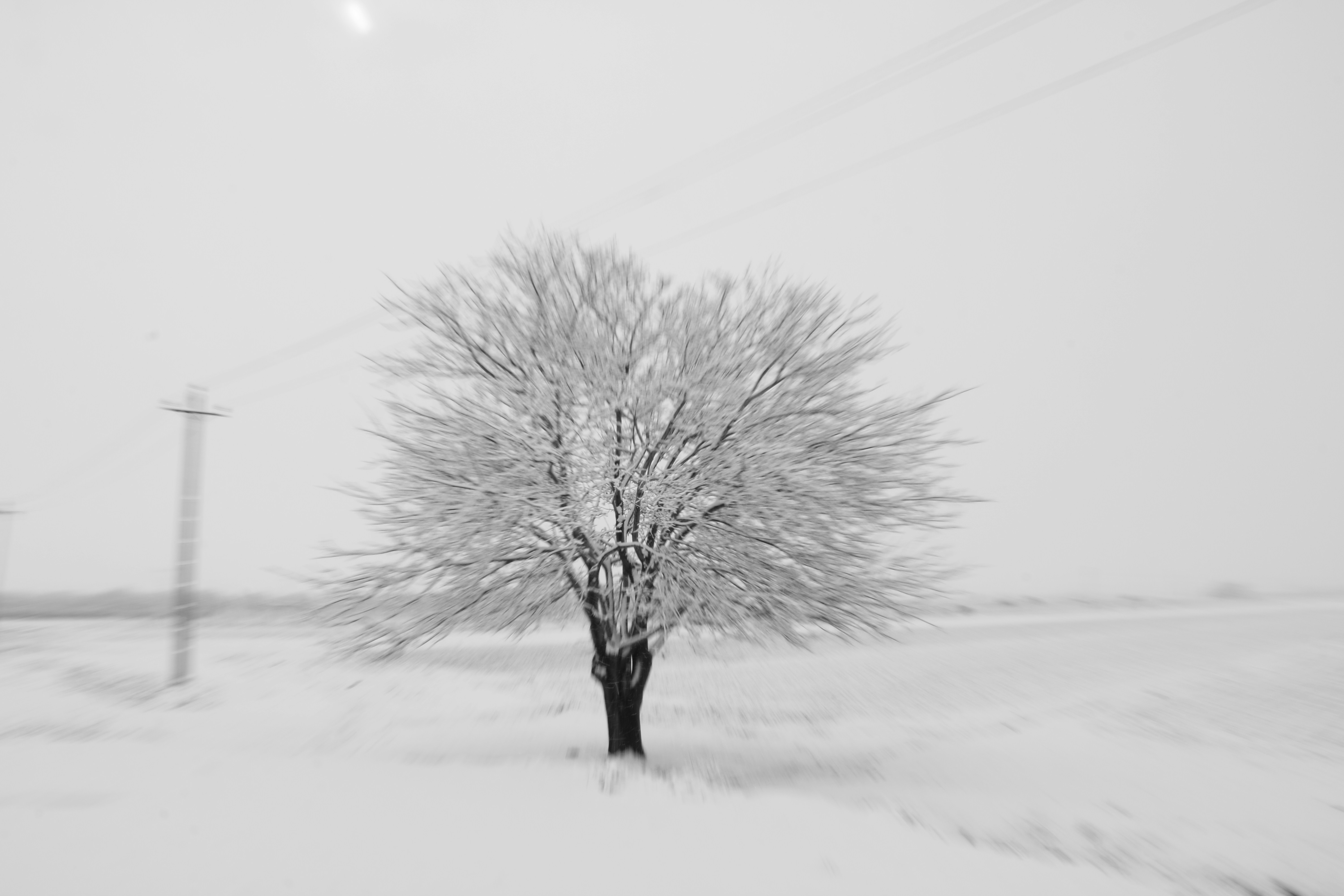 Photo by nimaaasim