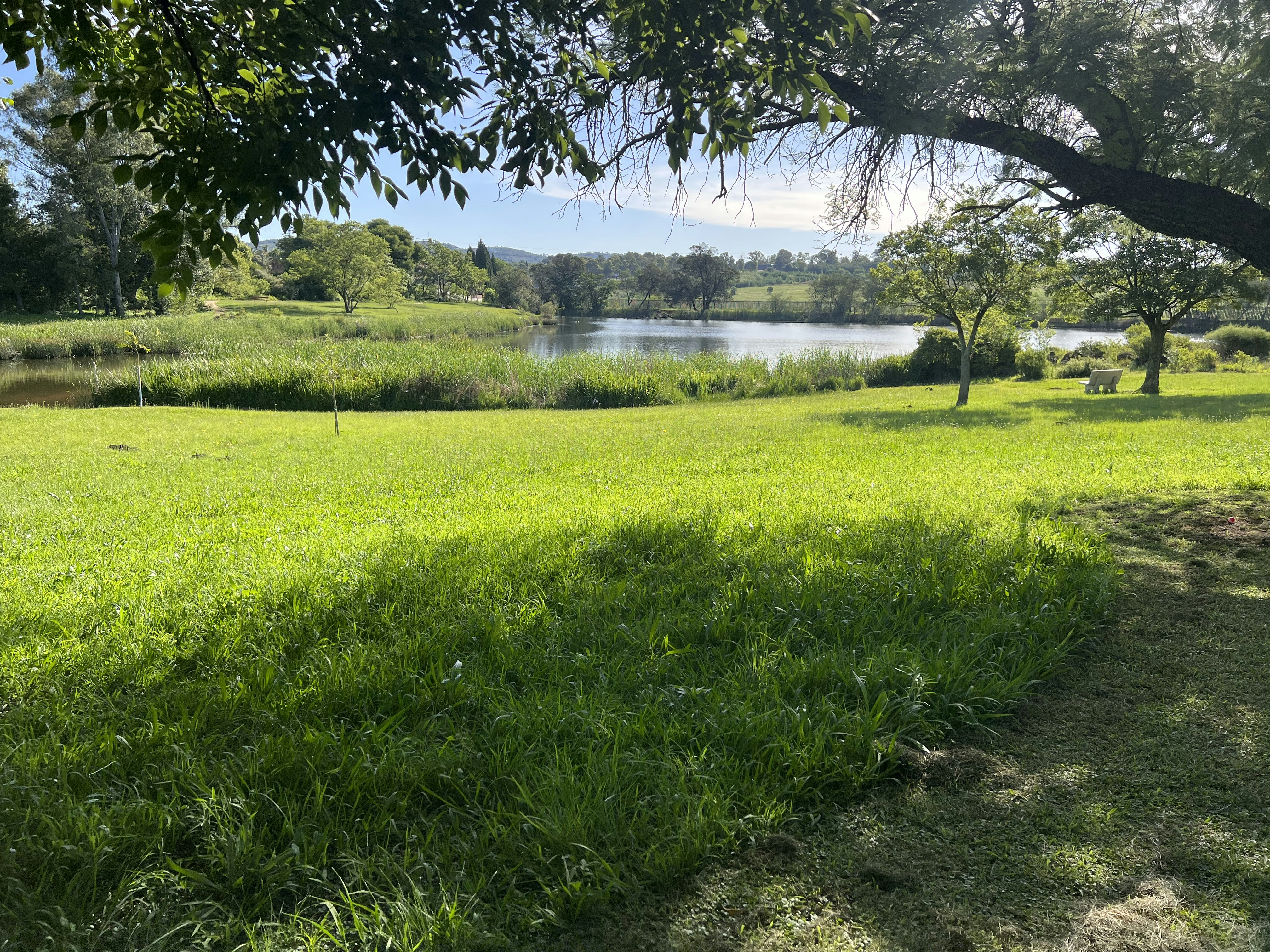 Photo by adventureview