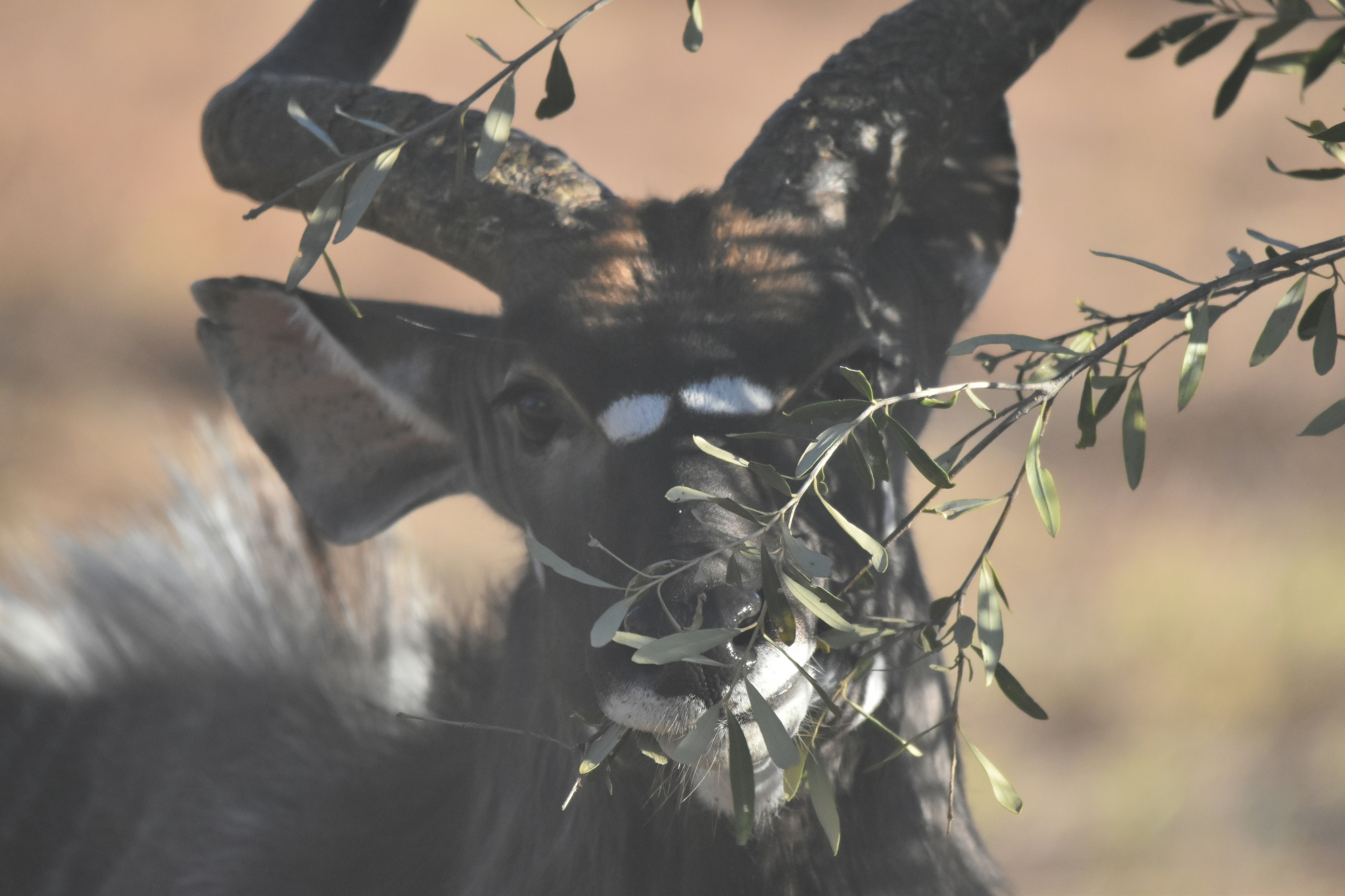 Photo by adventureview