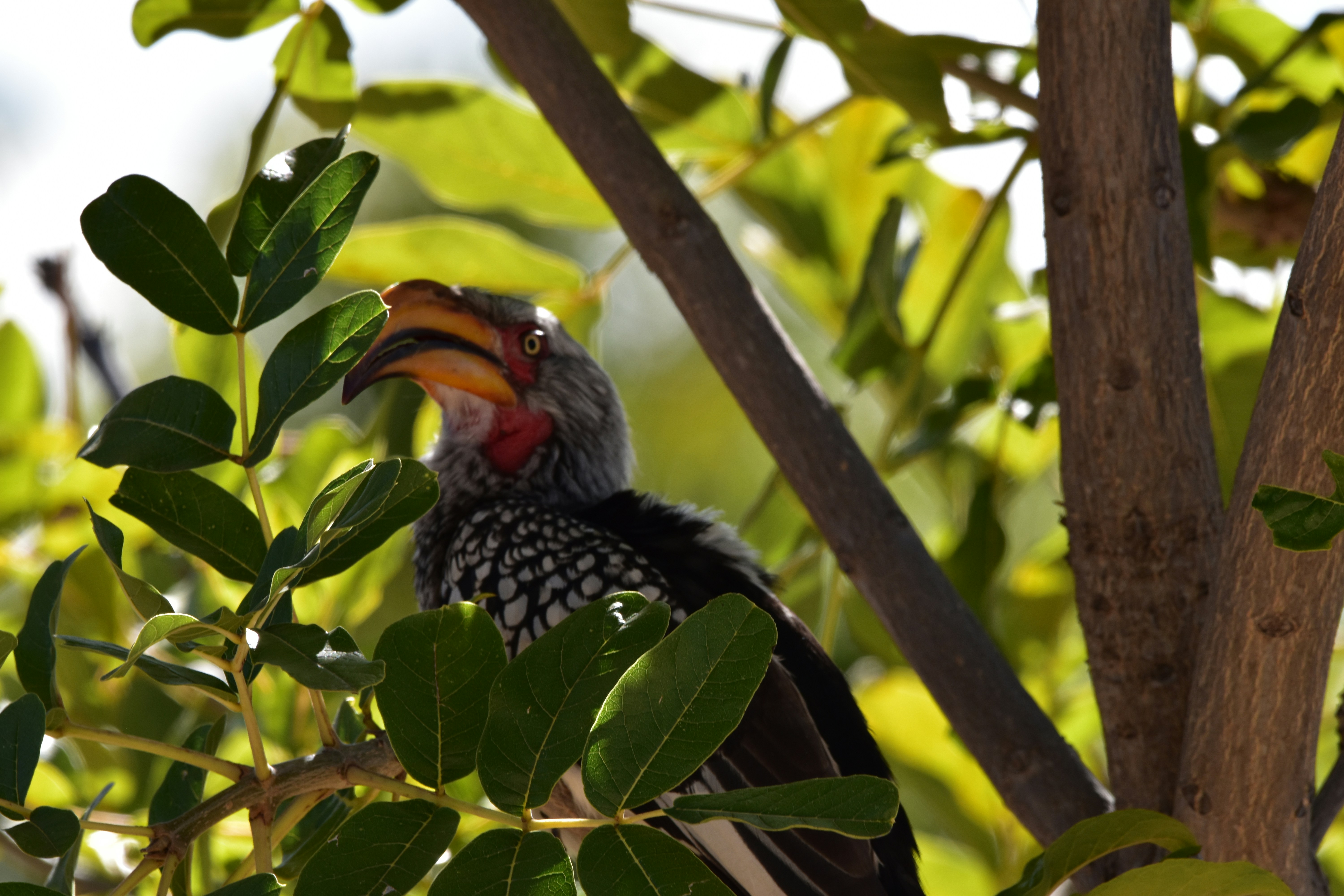 Photo by adventureview