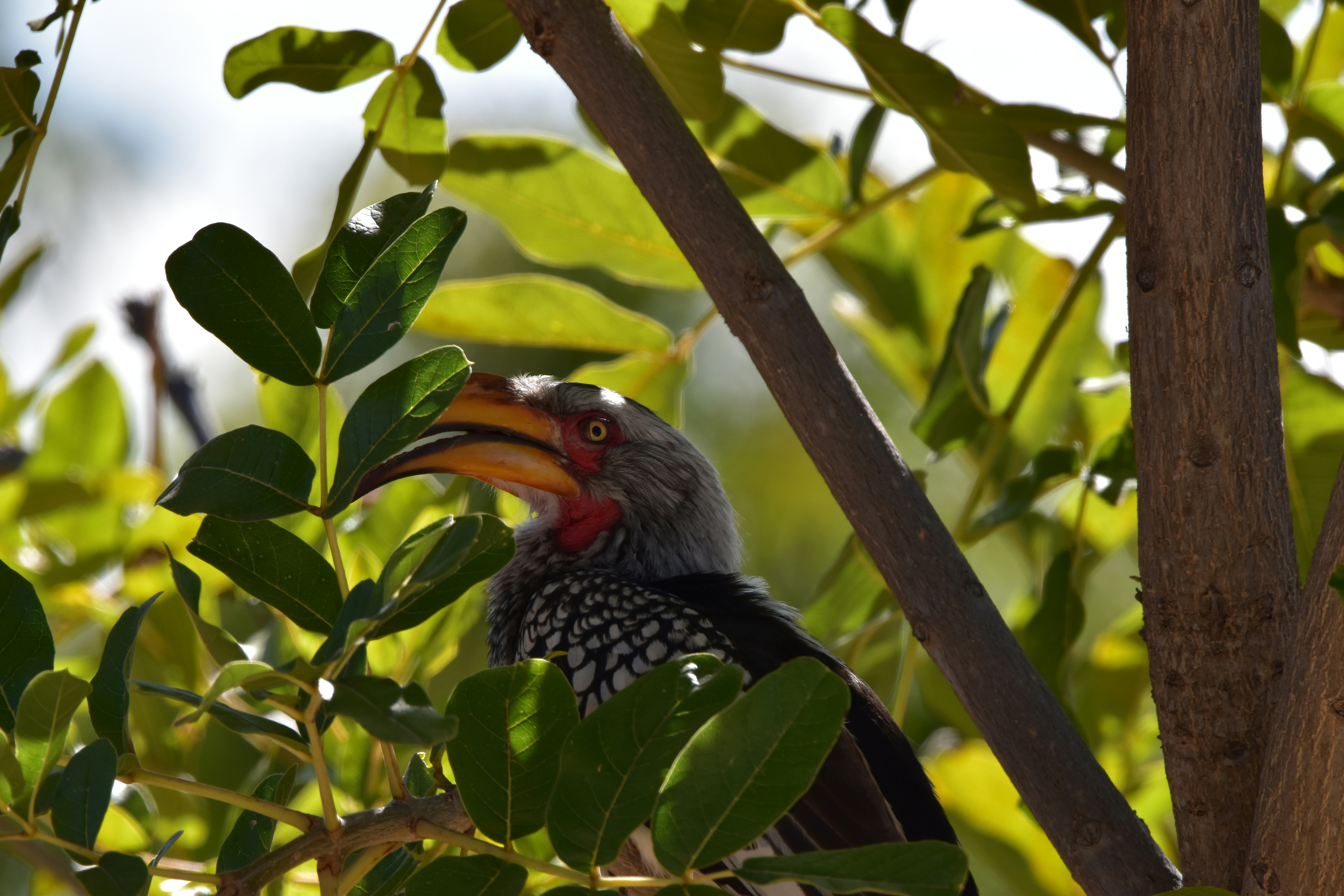 Photo by adventureview