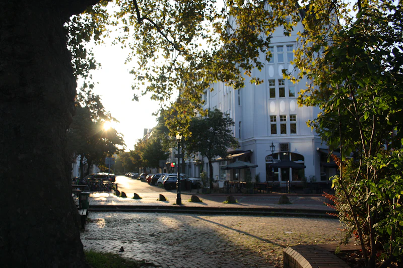 Best Free Things to Do in Dusseldorf That Cost Absolutely Nothing