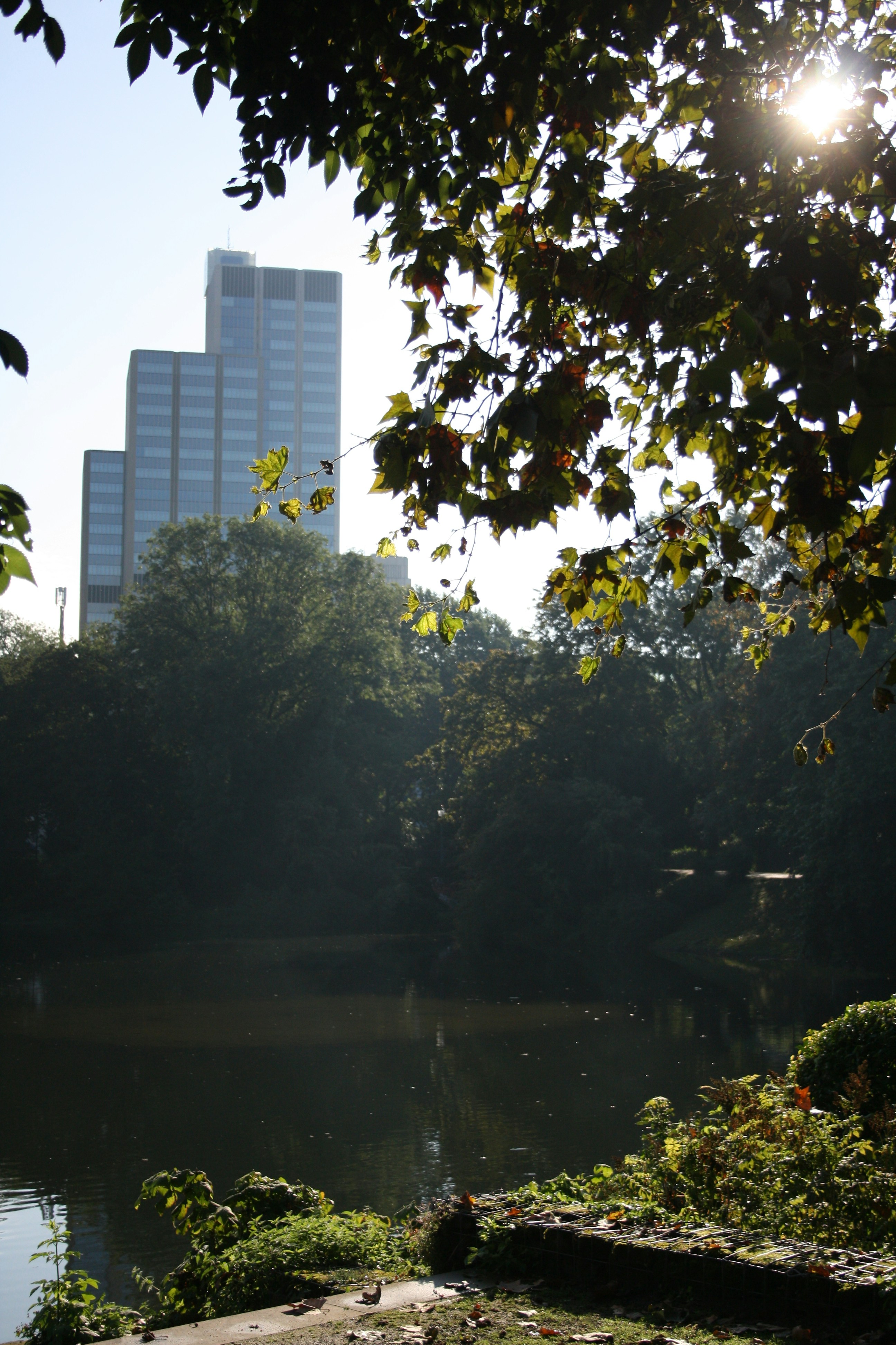 the sun shines through the trees over the water
