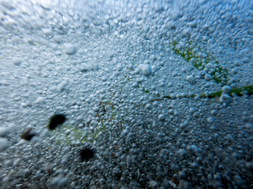 un gros plan de bulles sur une surface d’eau