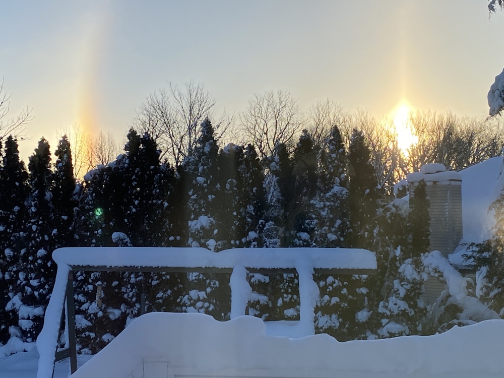 the sun is shining through the trees in the snow