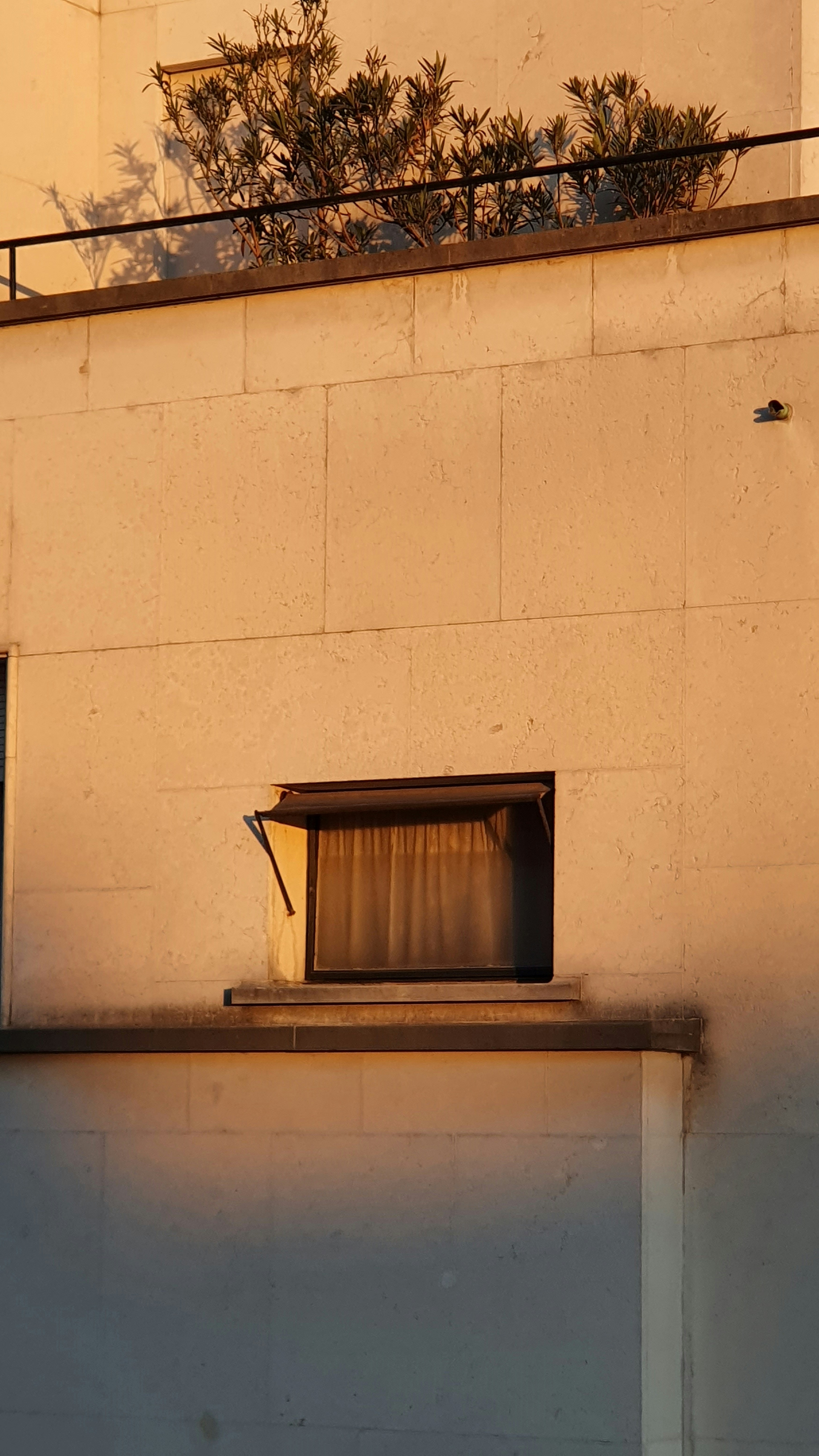 Photo by alexandra_giocondo