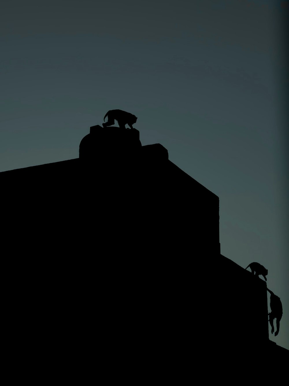 a silhouette of a building with a cat on top