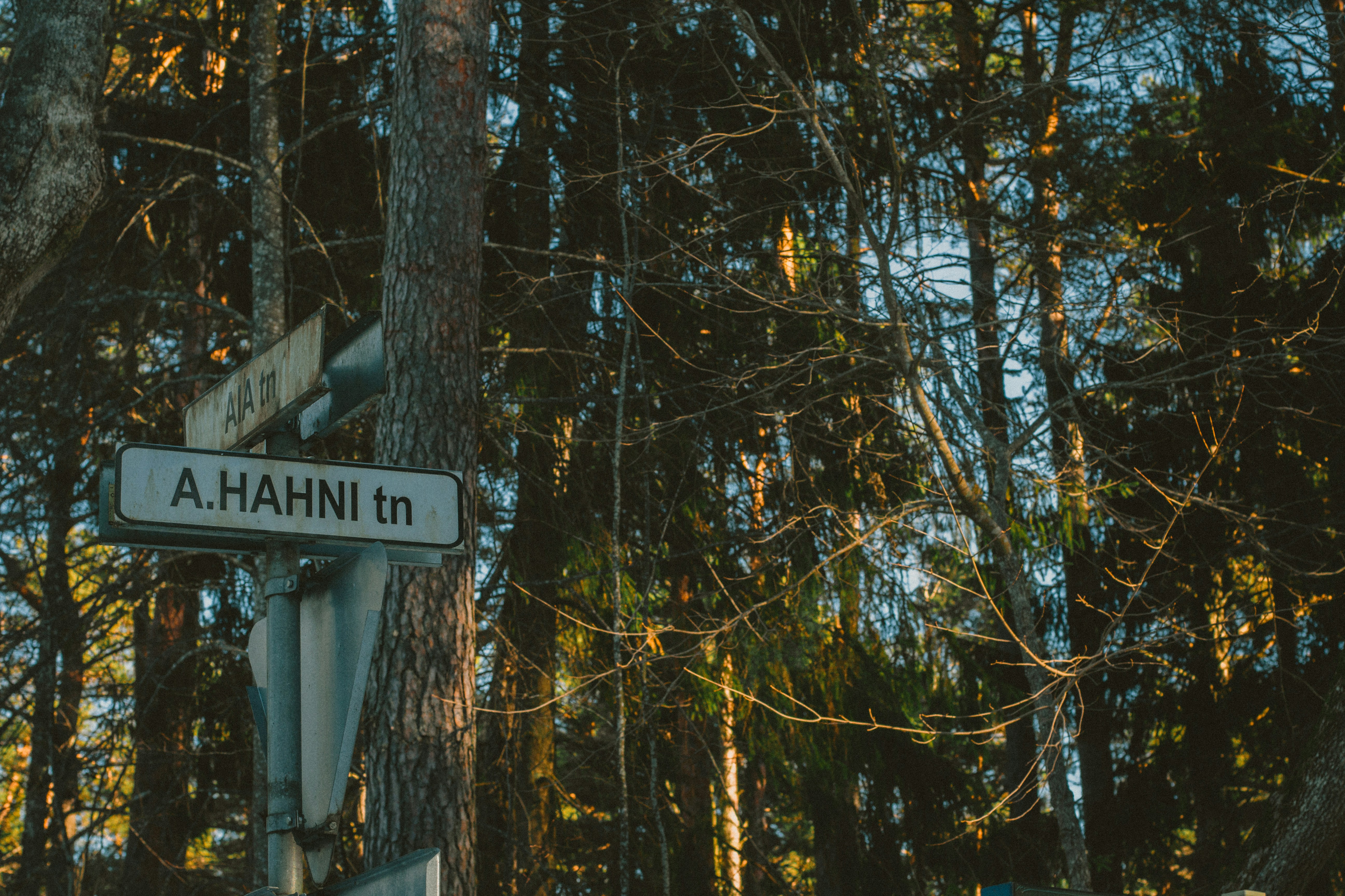 Why Context is the Missing Link in AI Agent Development